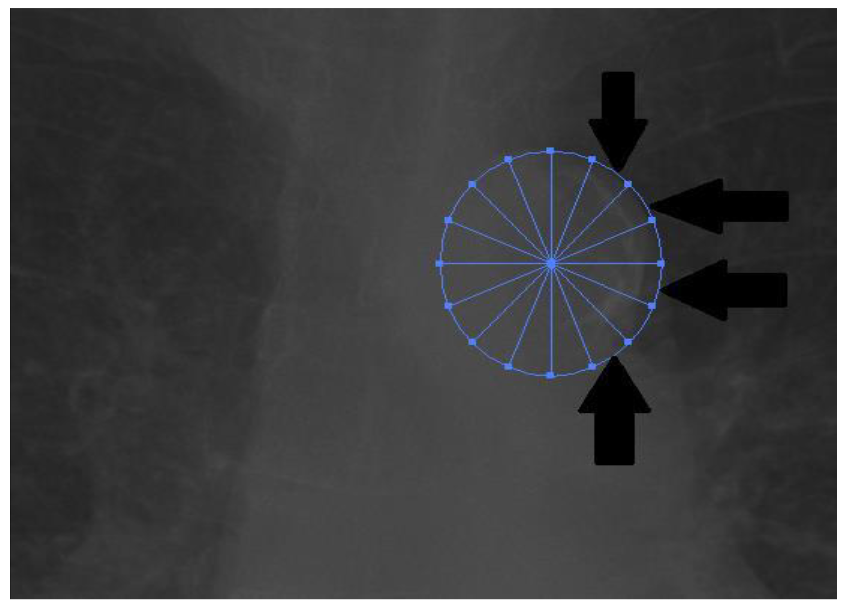Medicina 57 00421 g002 Medicina 57 00421 g002