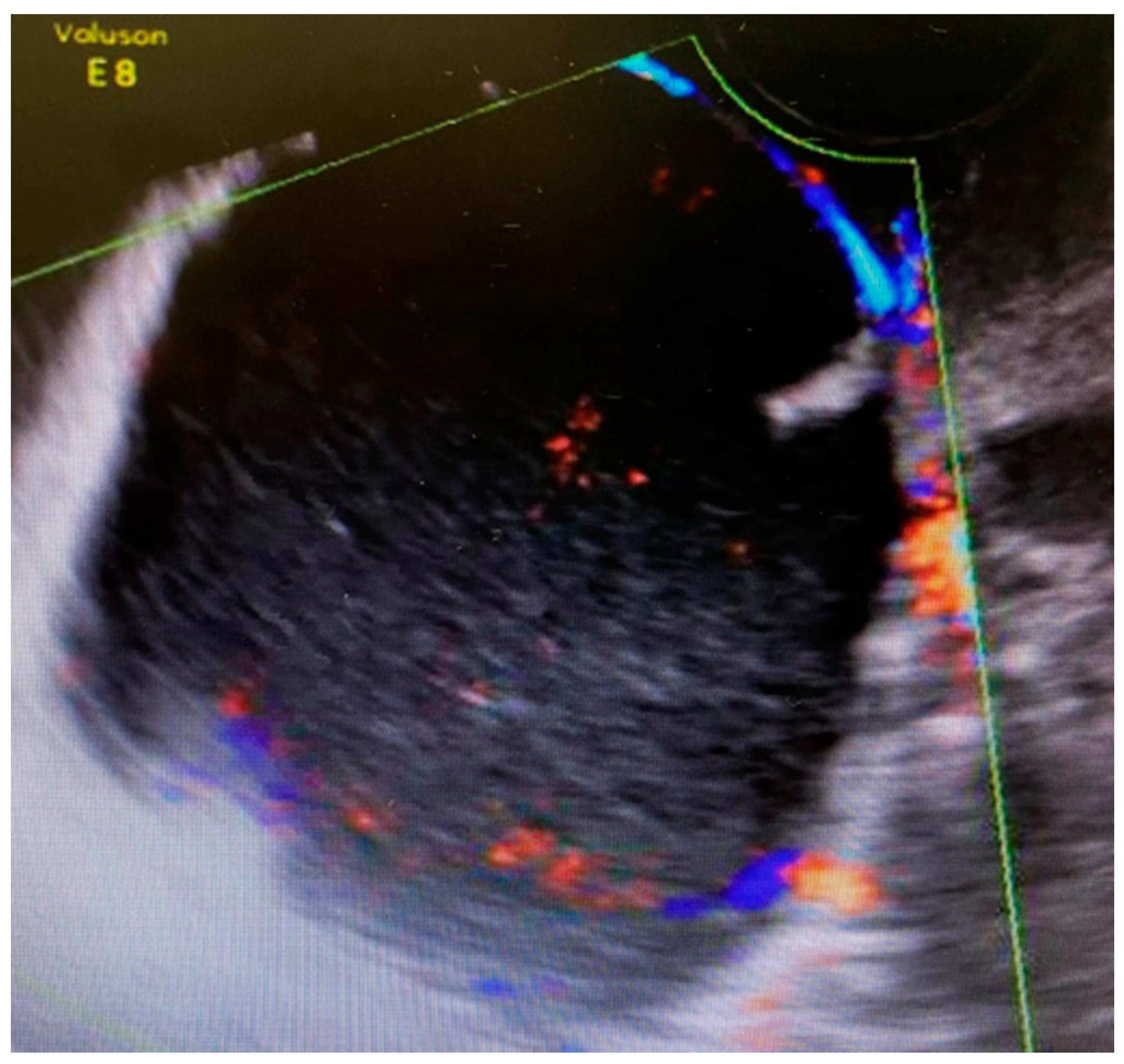 Medicina 57 00426 g001