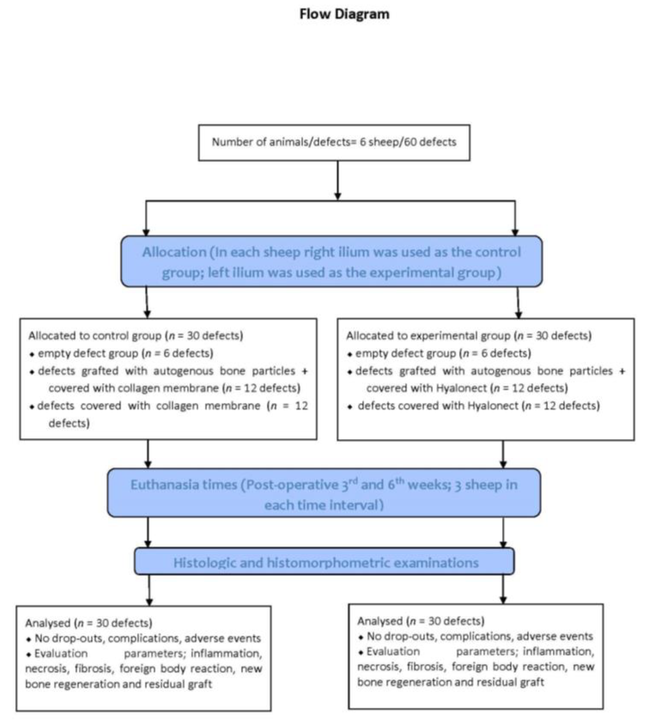 Medicina 57 00430 g001
