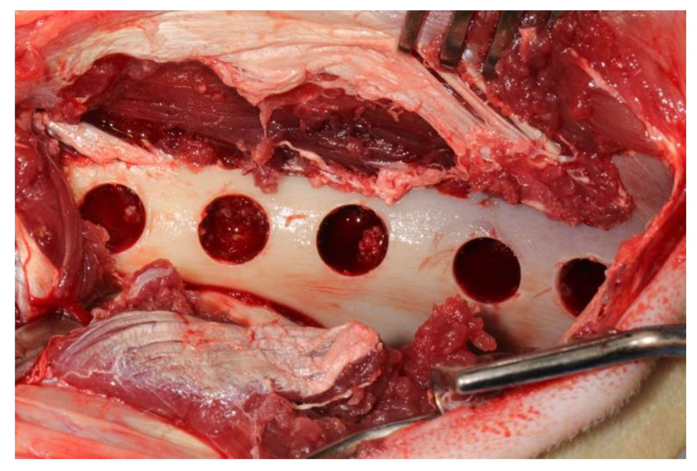 Medicina 57 00430 g002