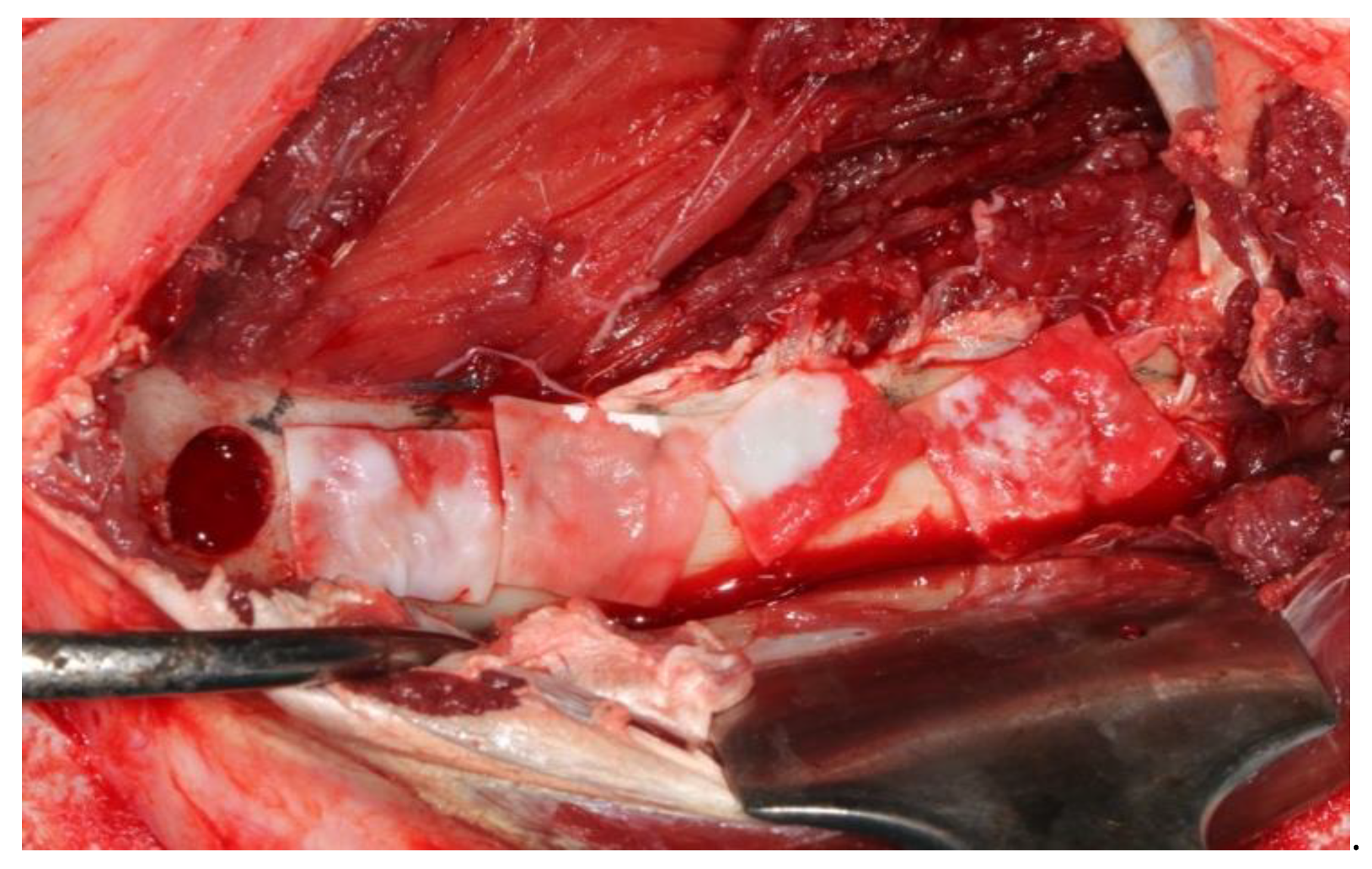 Medicina 57 00430 g003