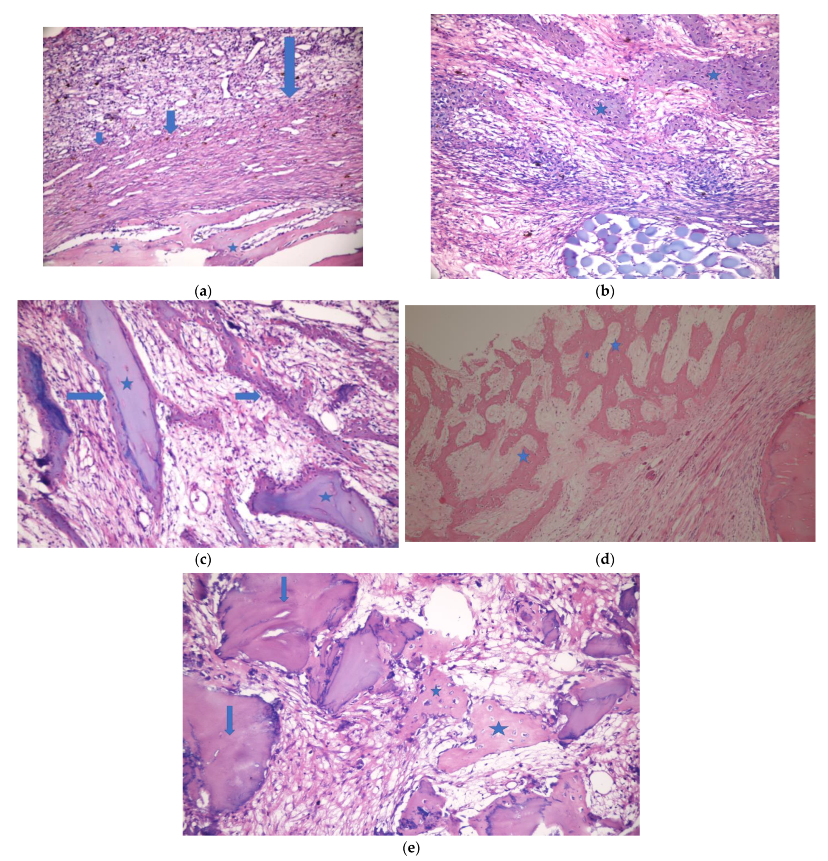 Medicina 57 00430 g005