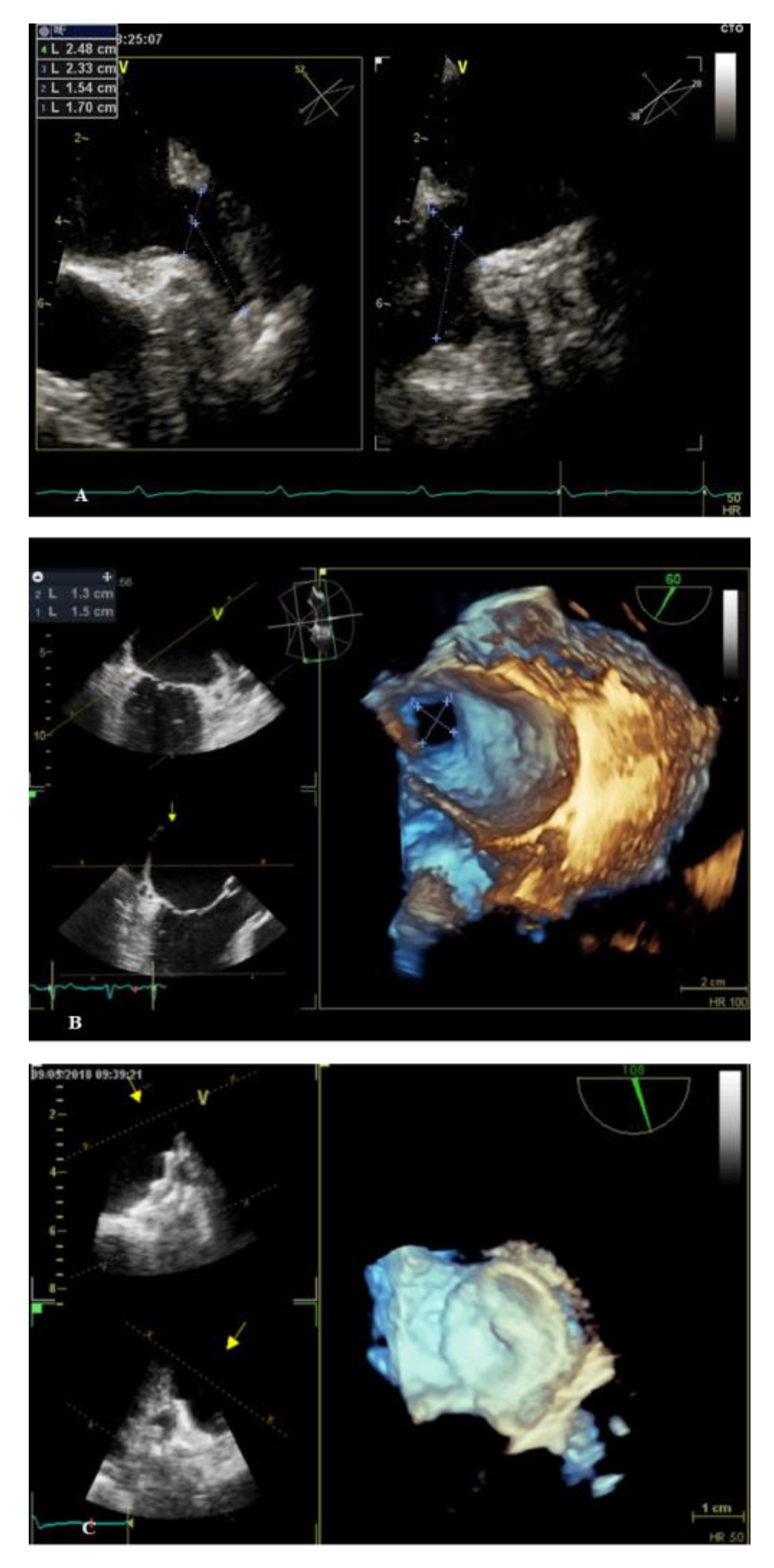 Medicina 57 00444 g001