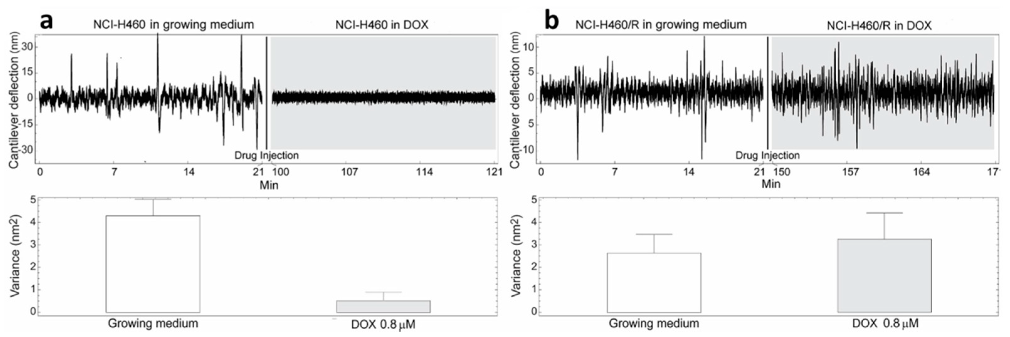 Medicina 57 00446 g002