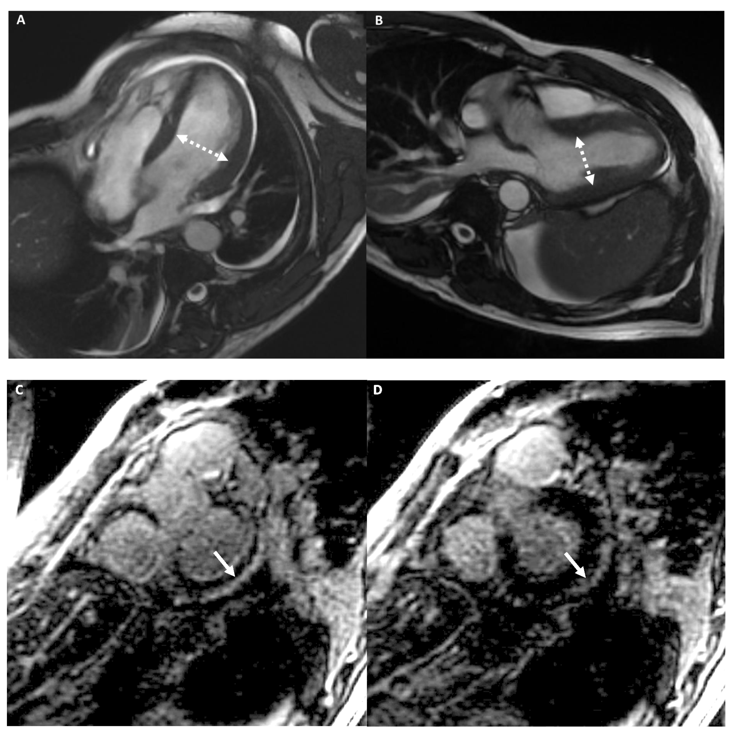 Medicina 57 00455 g008 Medicina 57 00455 g008
