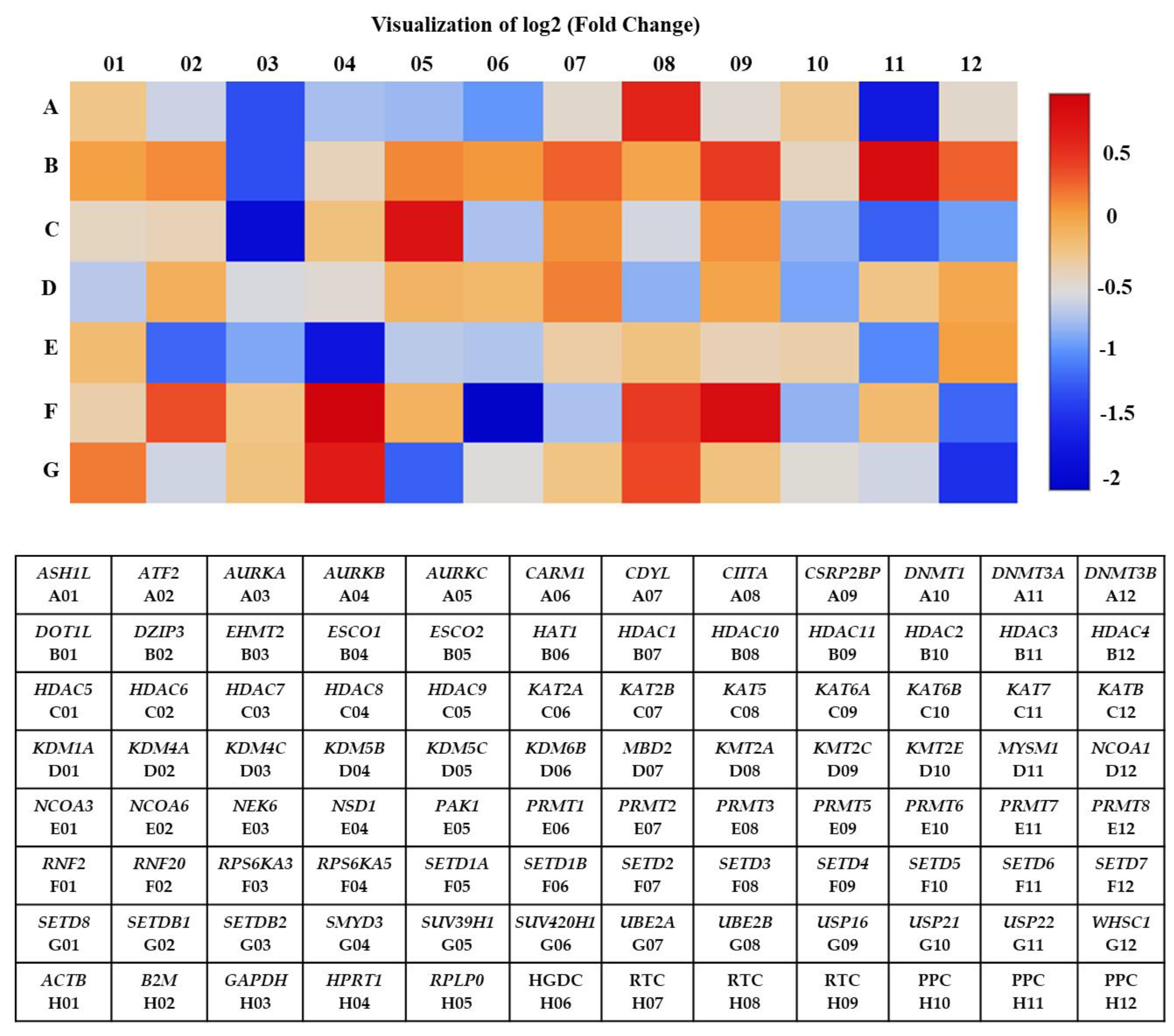 Medicina 57 00456 g002