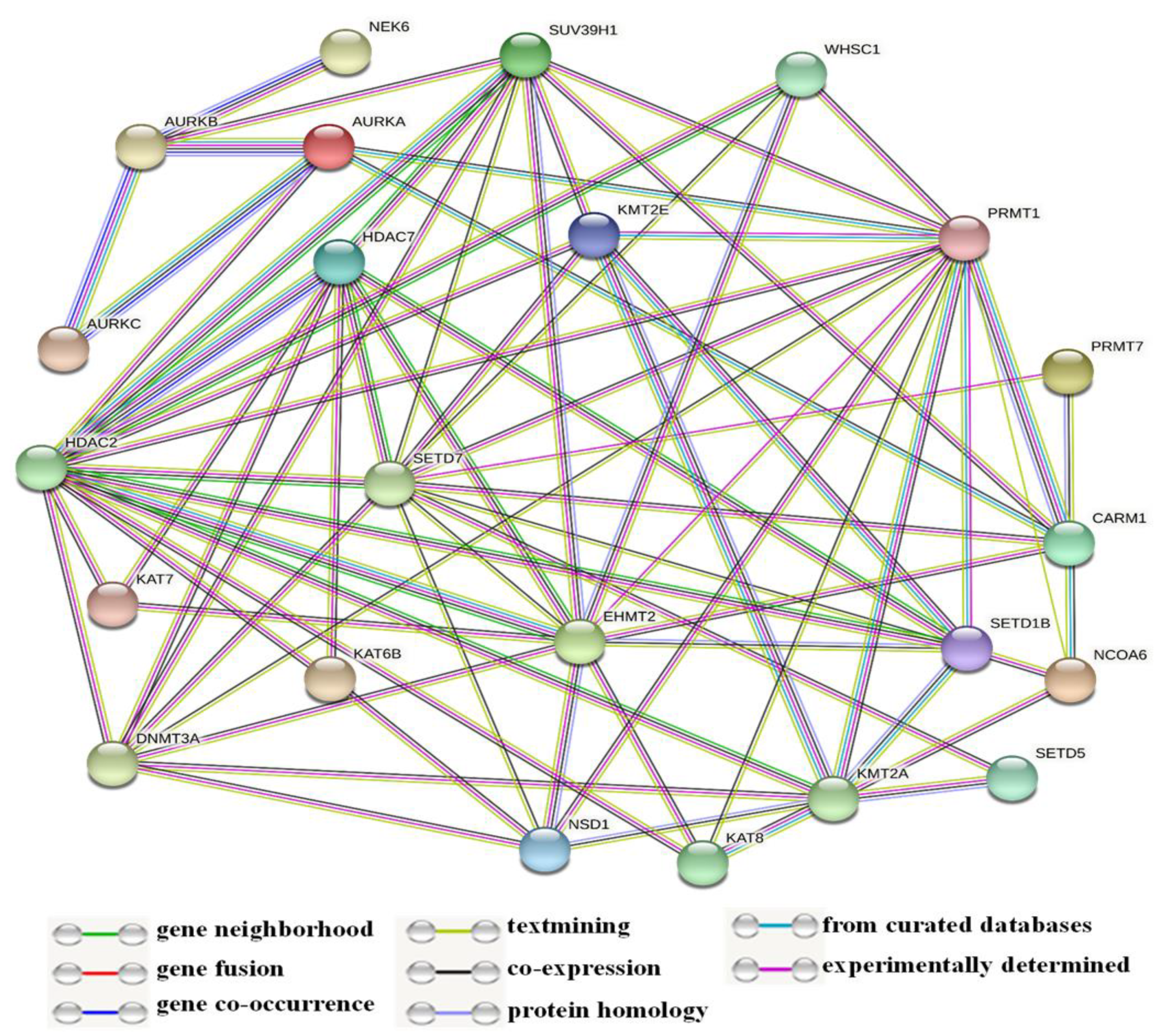 Medicina 57 00456 g003