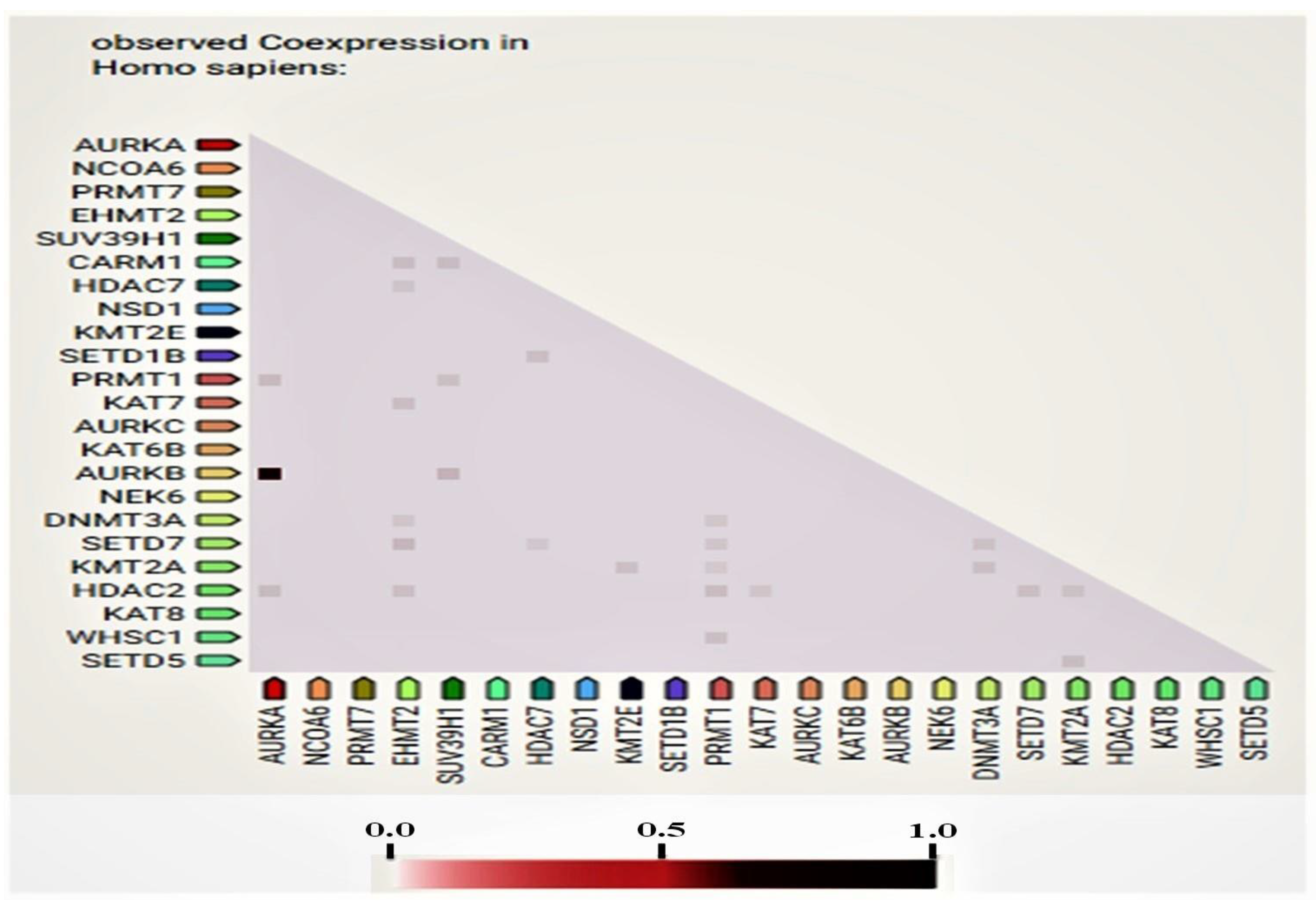 Medicina 57 00456 g004