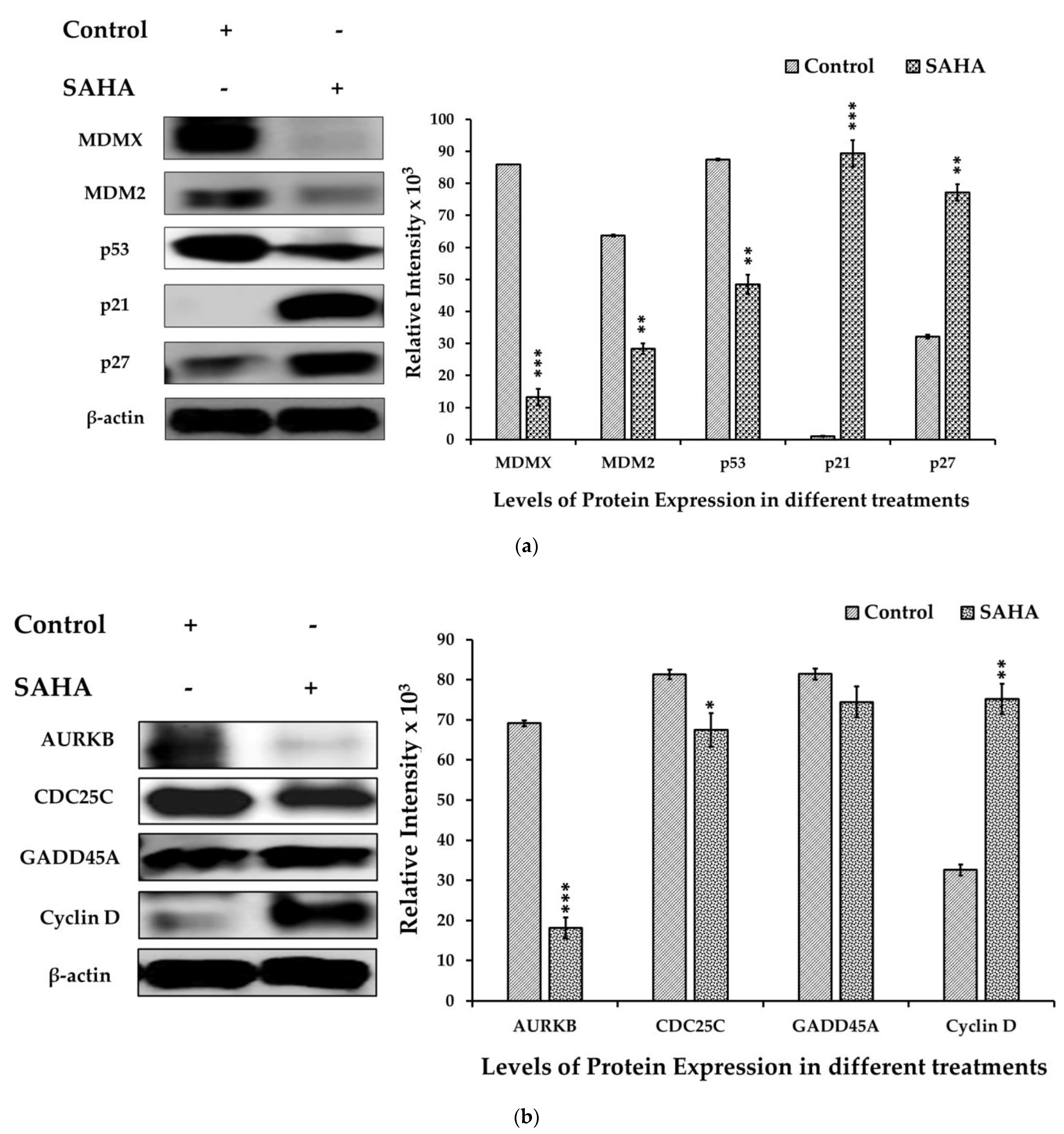 Medicina 57 00456 g005