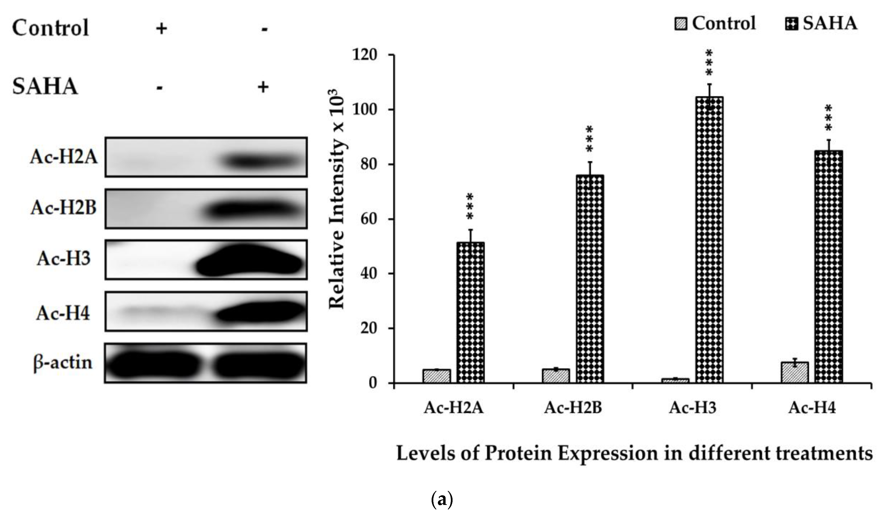 Medicina 57 00456 g006a