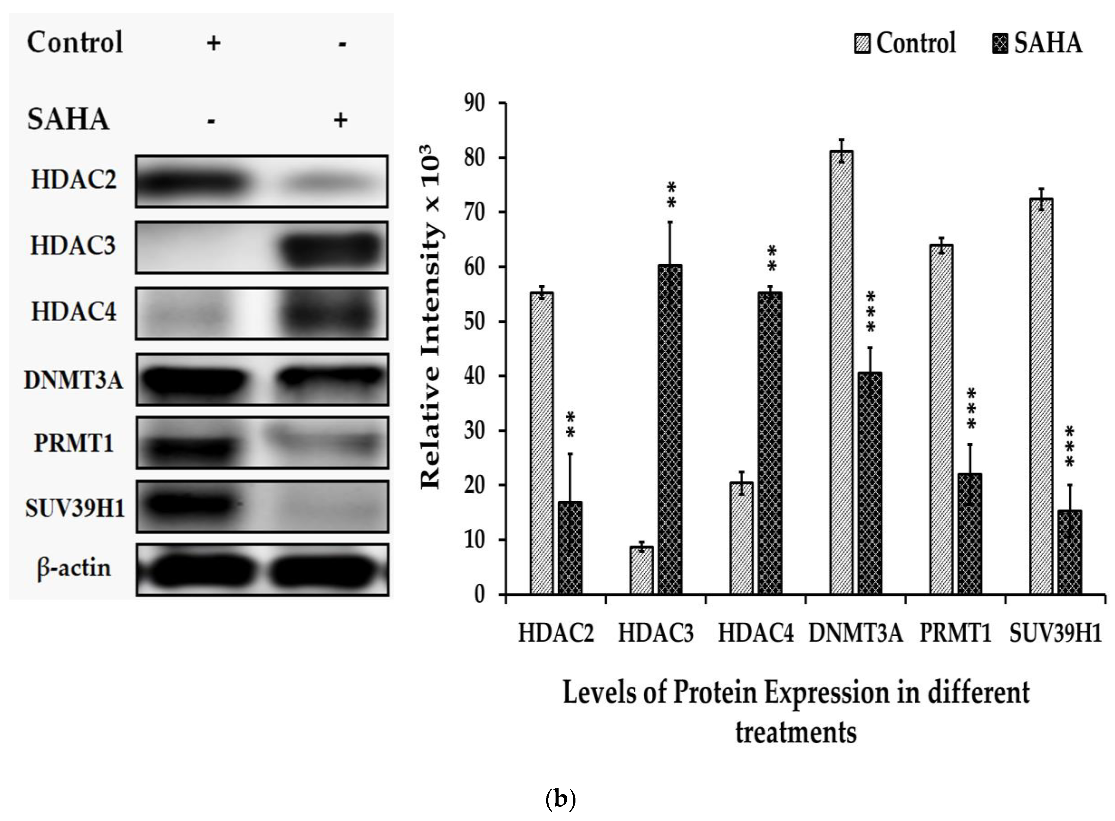 Medicina 57 00456 g006b