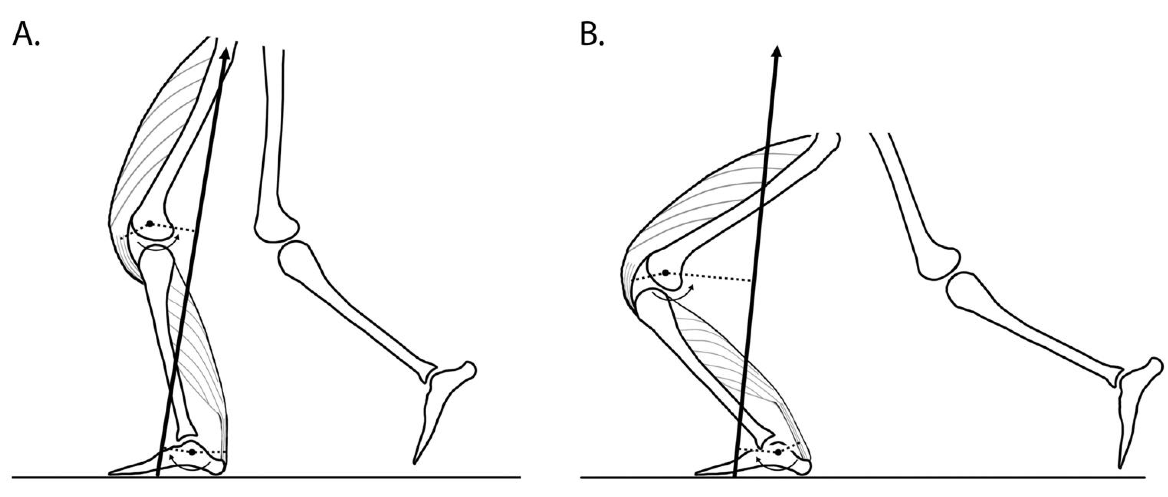 Medicina 57 00457 g003
