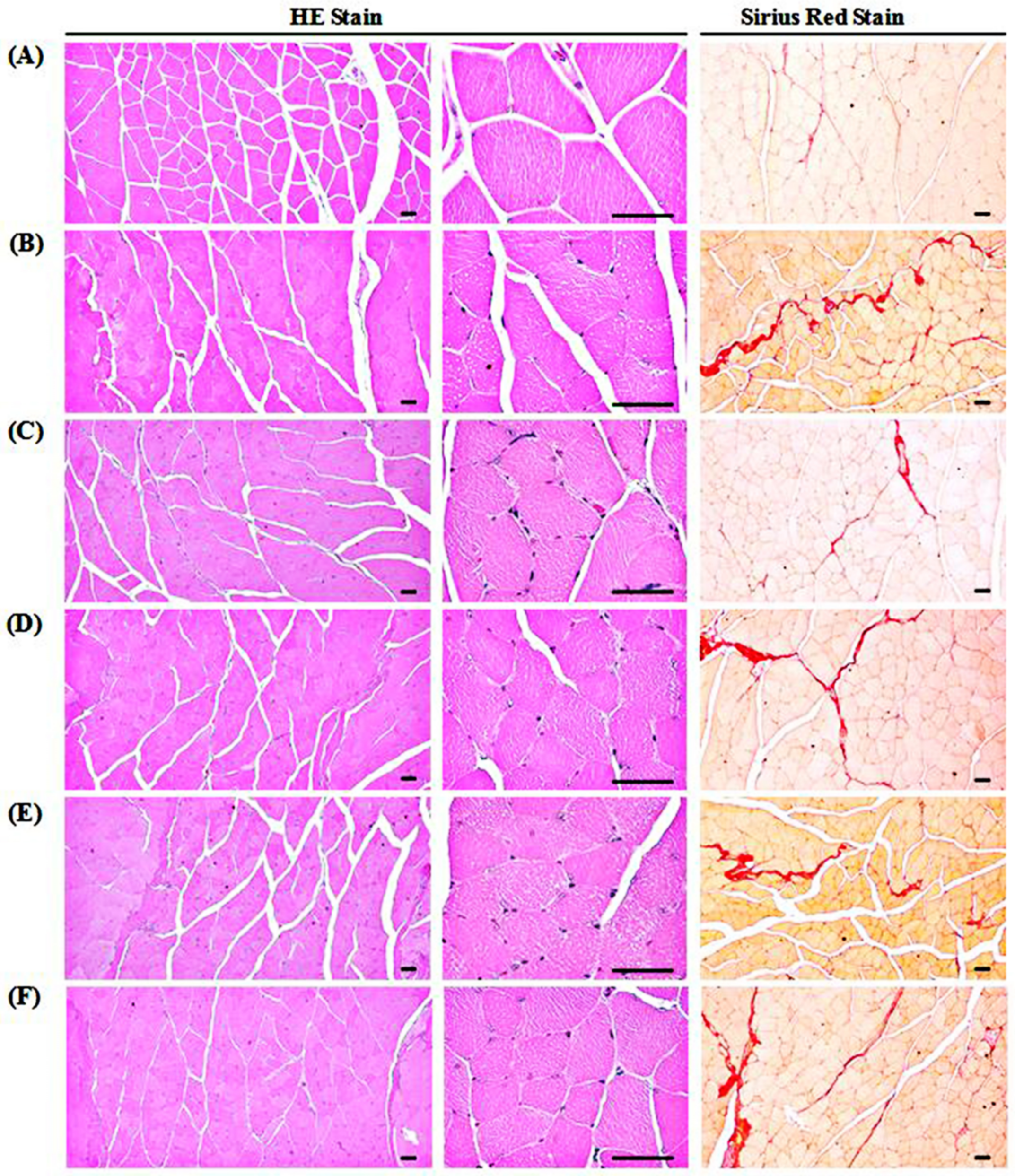 Medicina 57 00485 g007