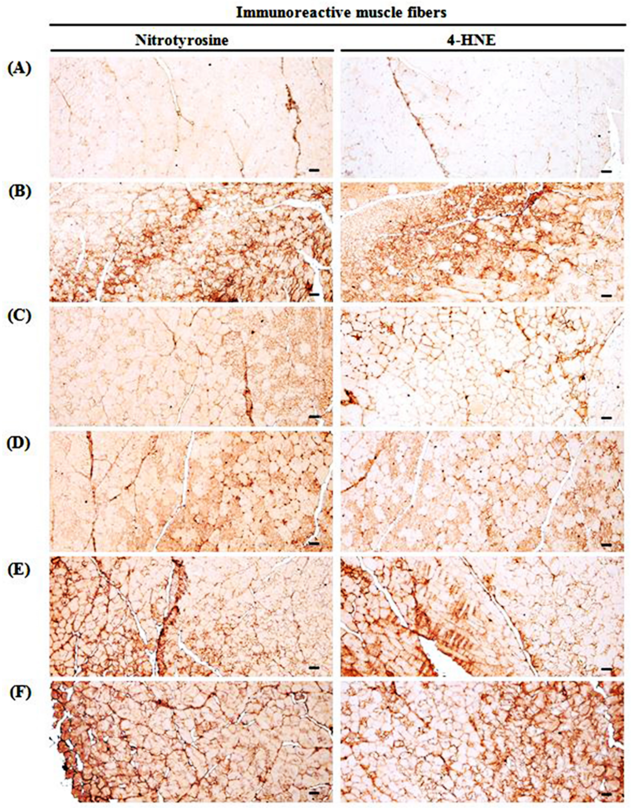 Medicina 57 00485 g009