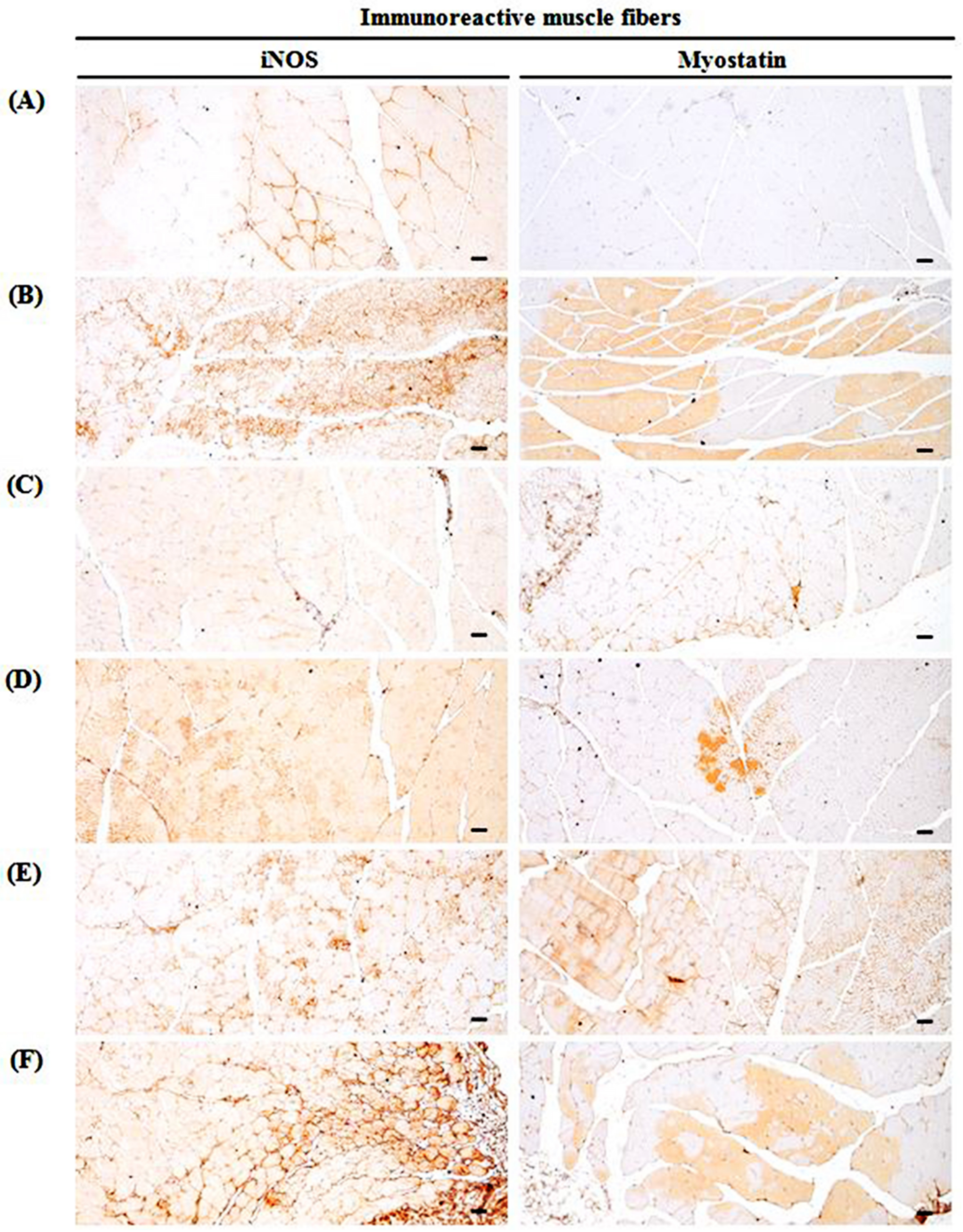 Medicina 57 00485 g010