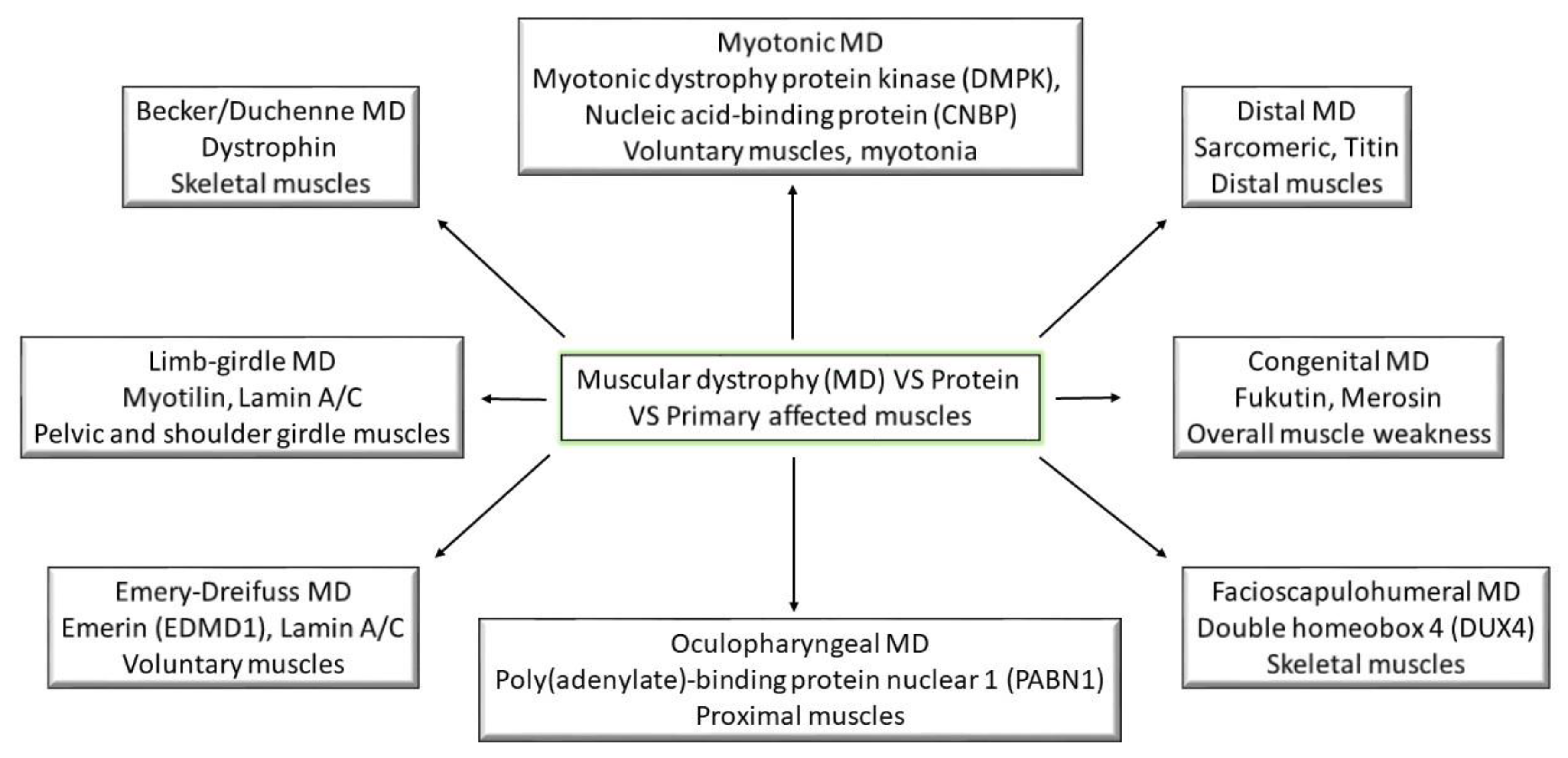 Medicina 57 00488 g001