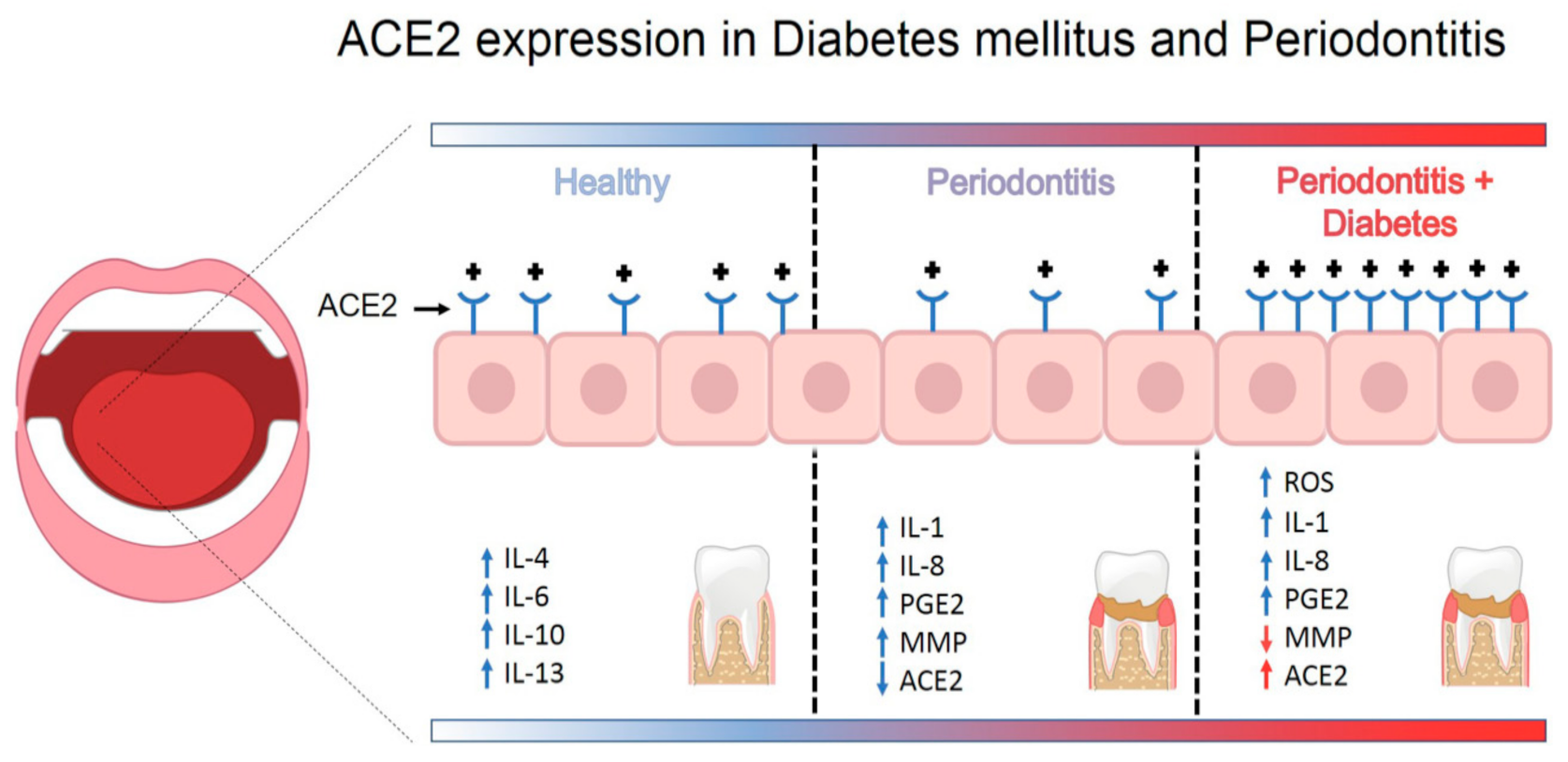 Medicina 57 00493 g003 Medicina 57 00493 g003