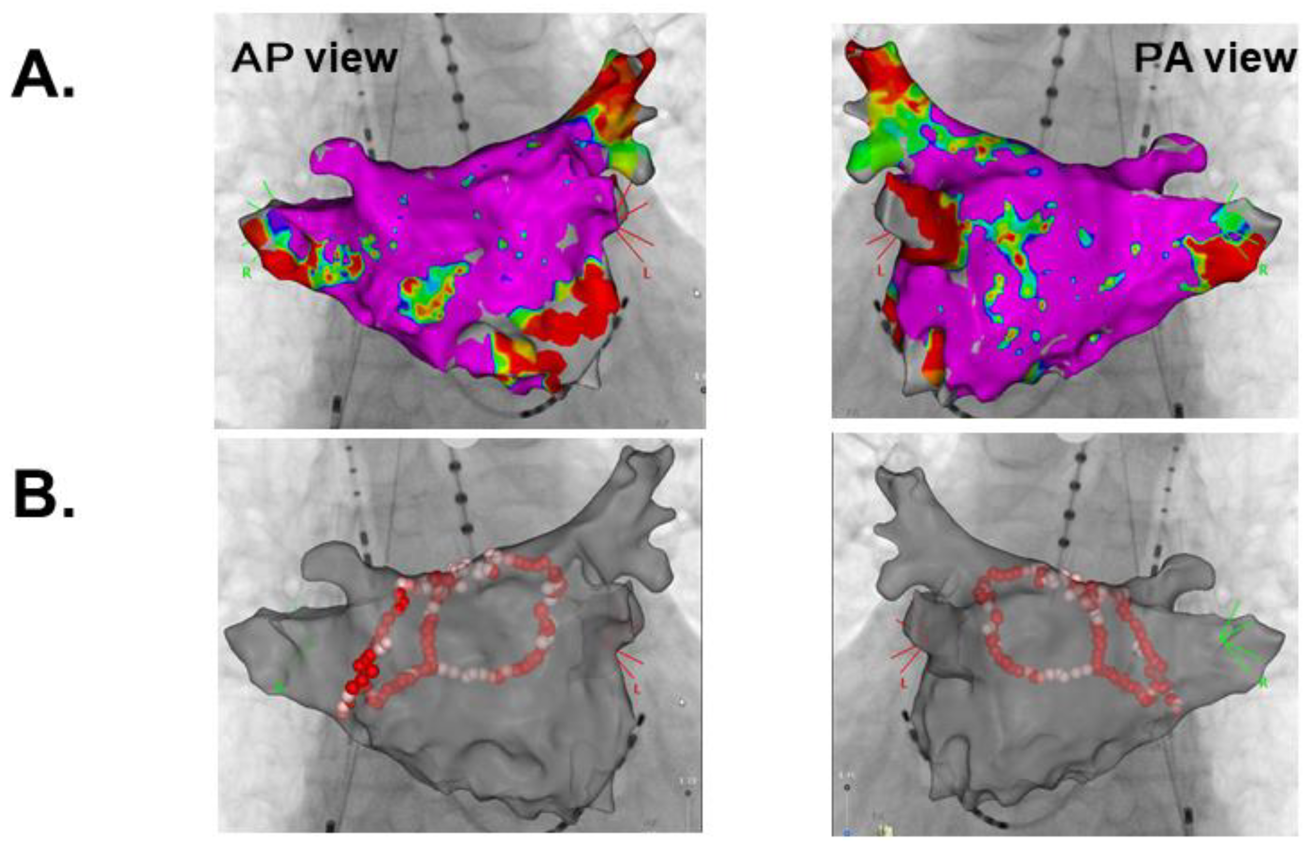 Medicina 57 00511 g002