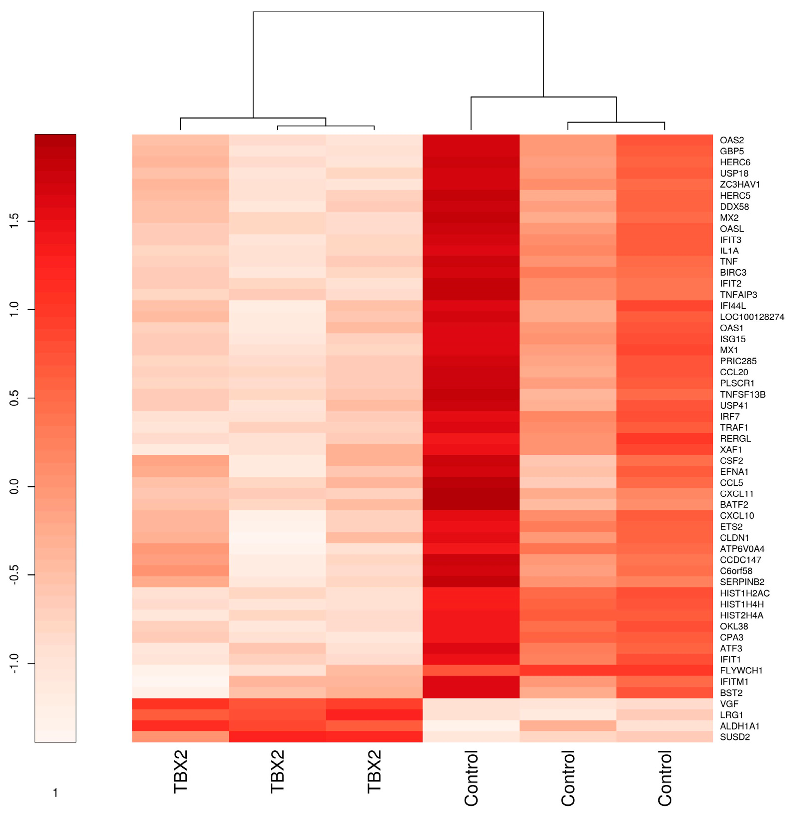 Medicina 57 00515 g001