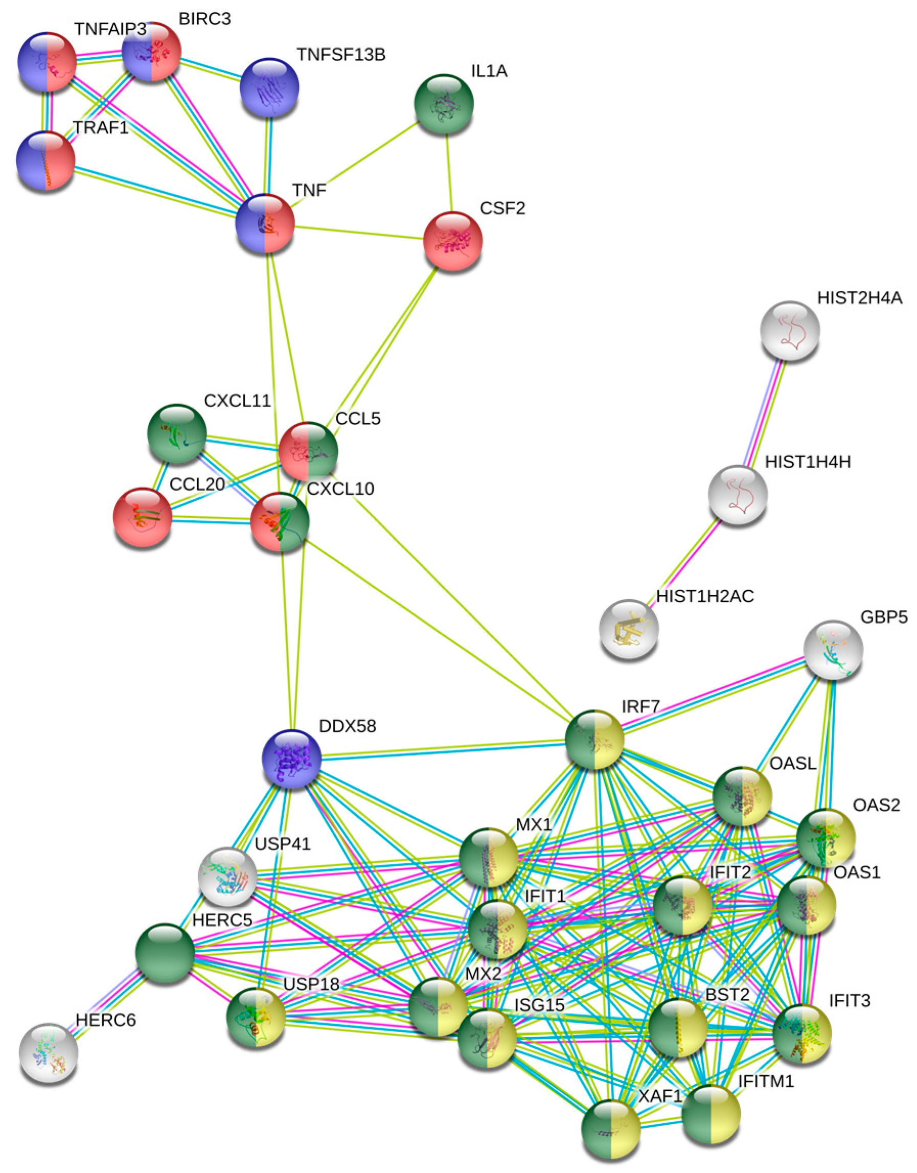 Medicina 57 00515 g002