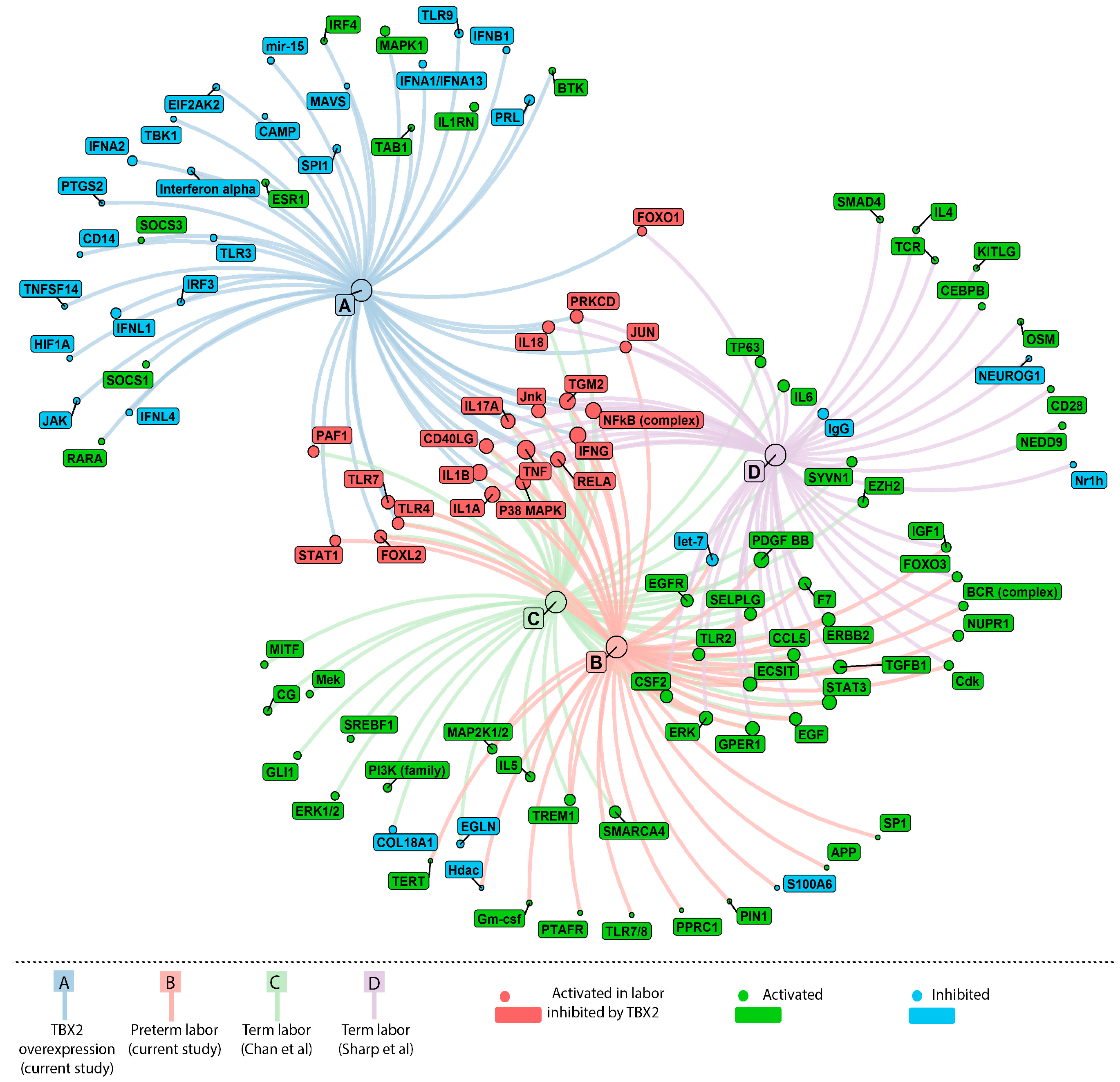 Medicina 57 00515 g006