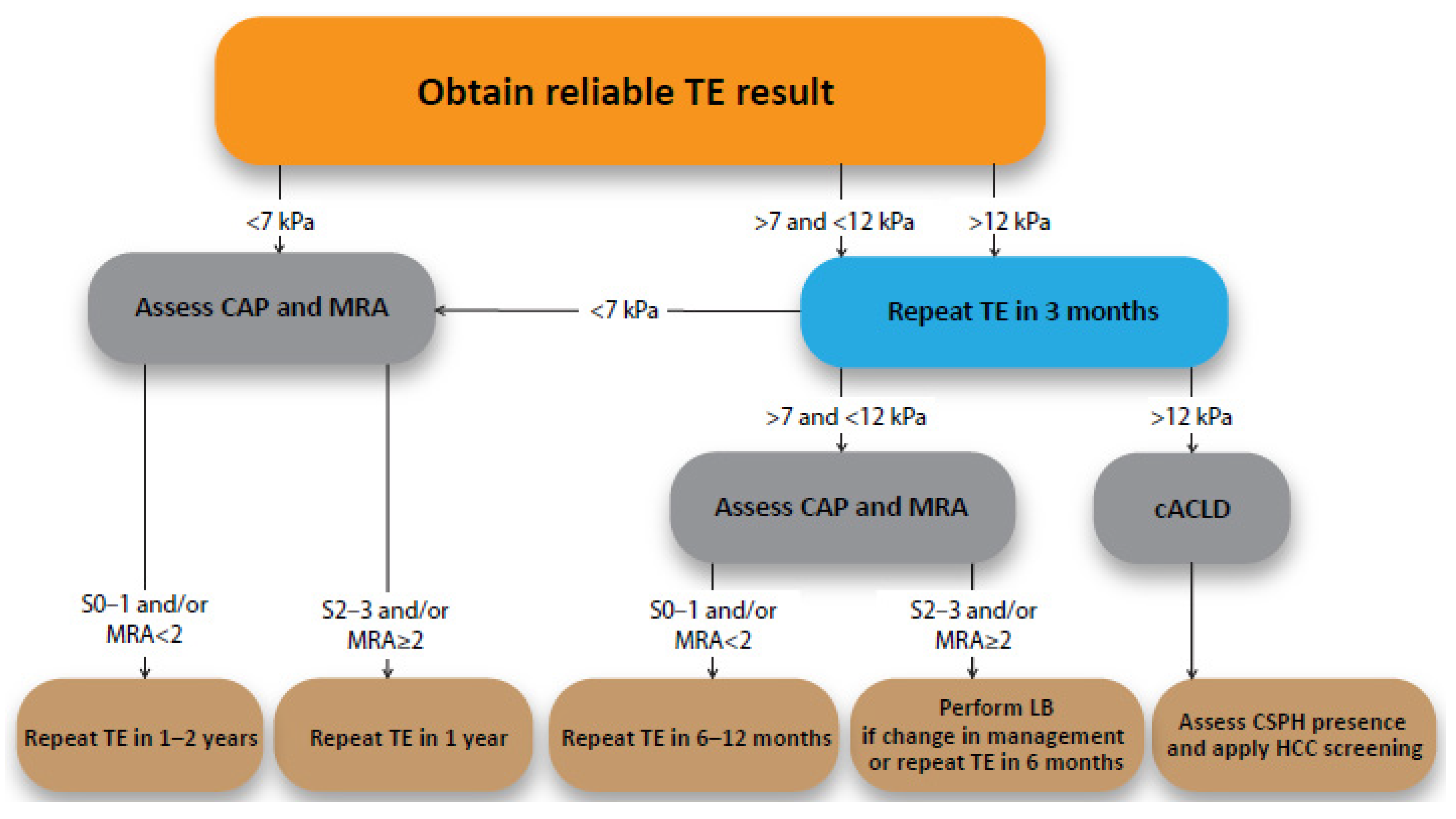 Medicina 57 00516 g003