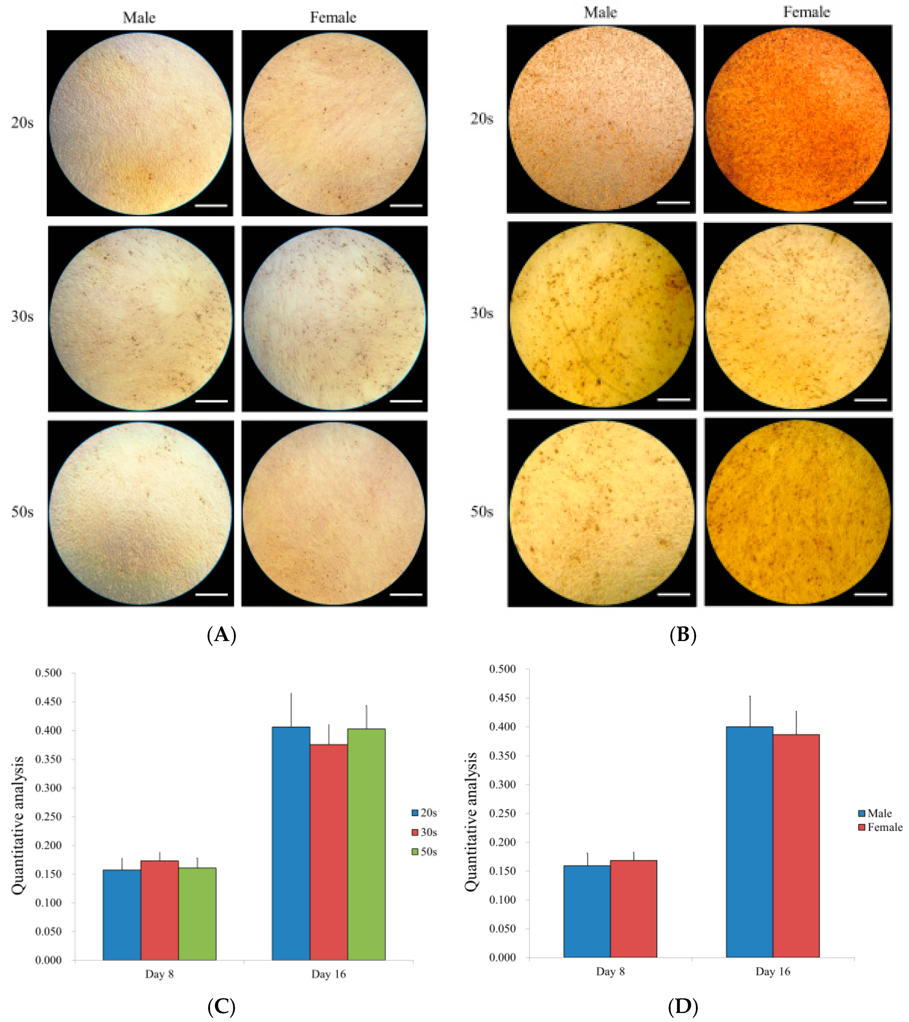 Medicina 57 00520 g007 Medicina 57 00520 g007