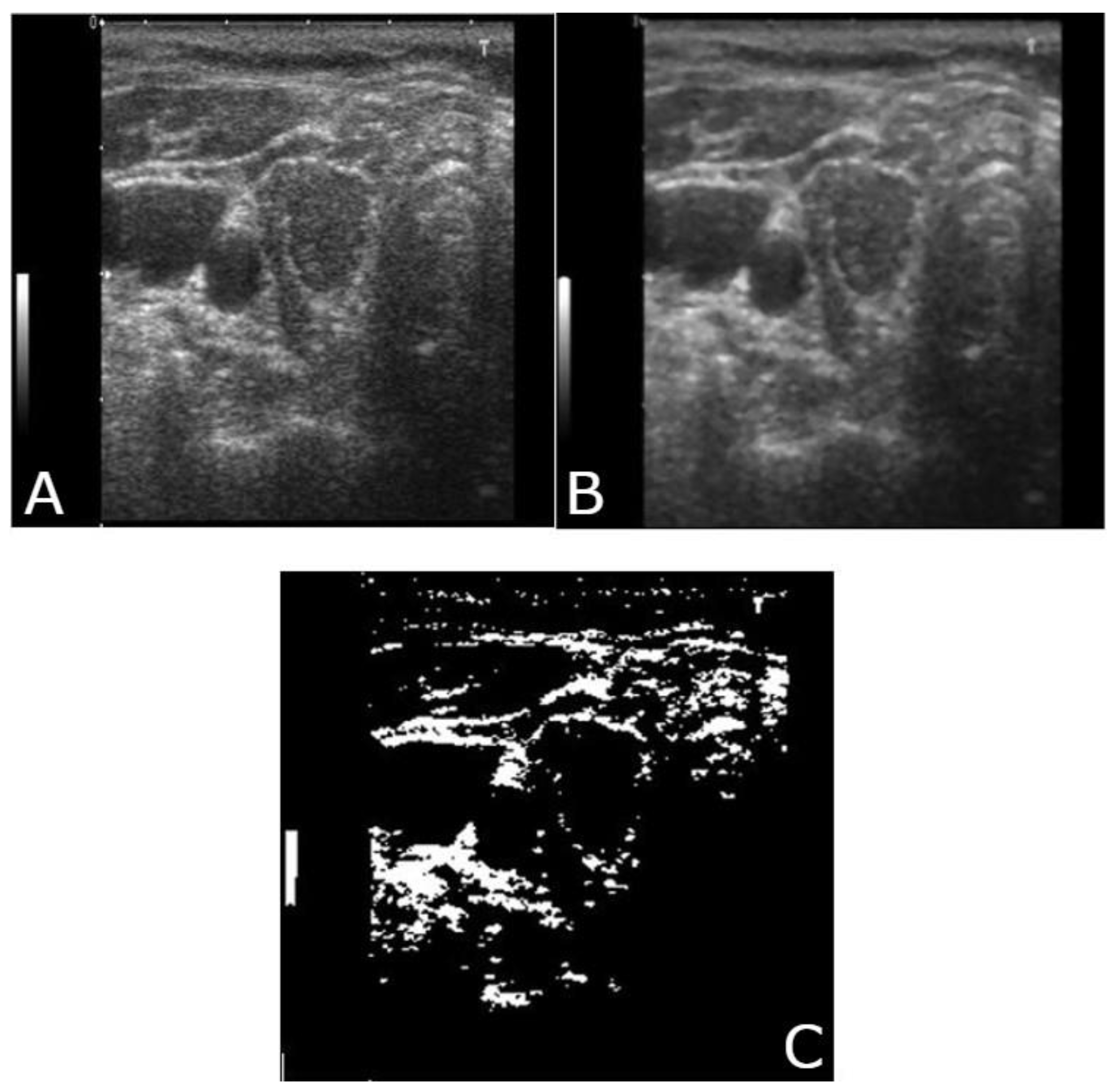 Medicina 57 00527 g011 Medicina 57 00527 g011