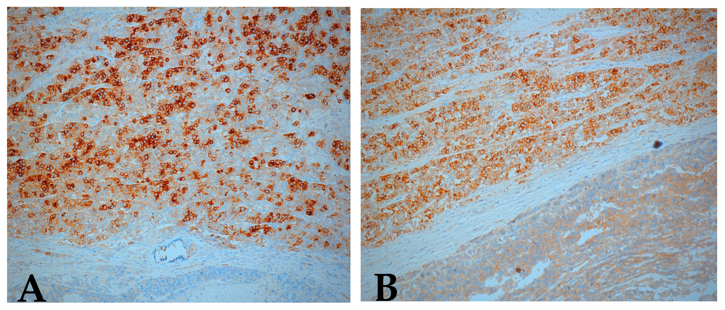 Medicina 57 00534 g008 Medicina 57 00534 g008