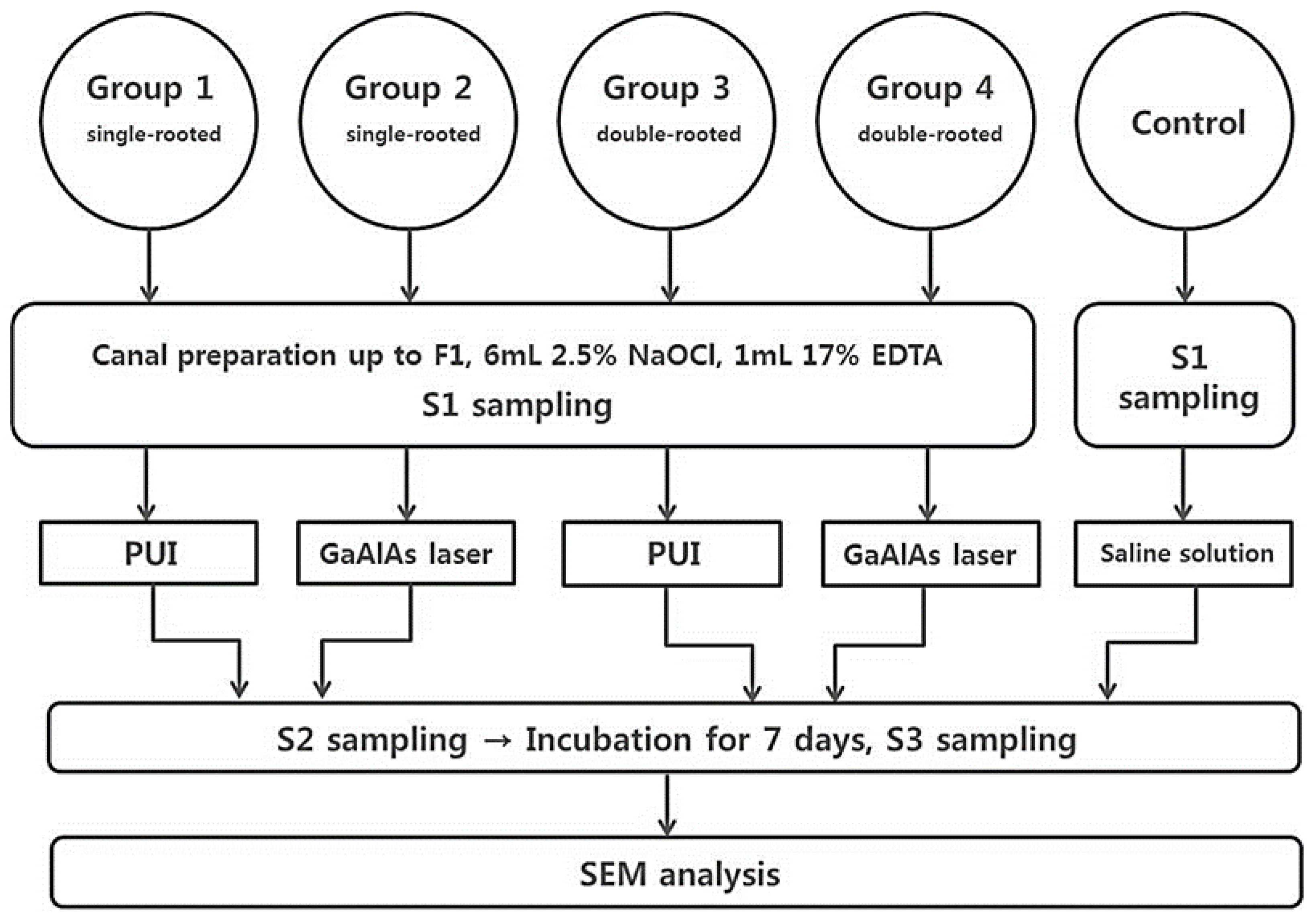 Medicina 57 00537 g001