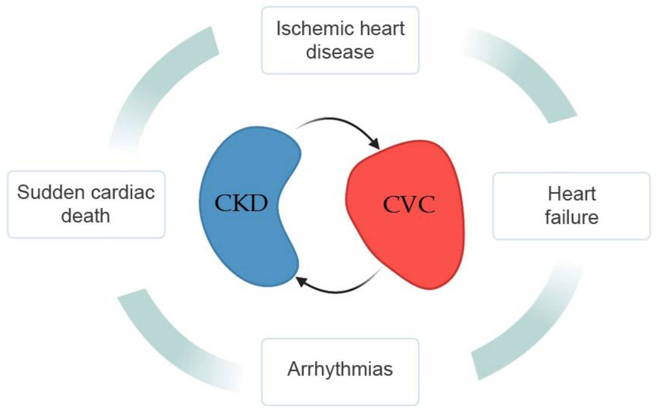 Medicina 57 00538 g002