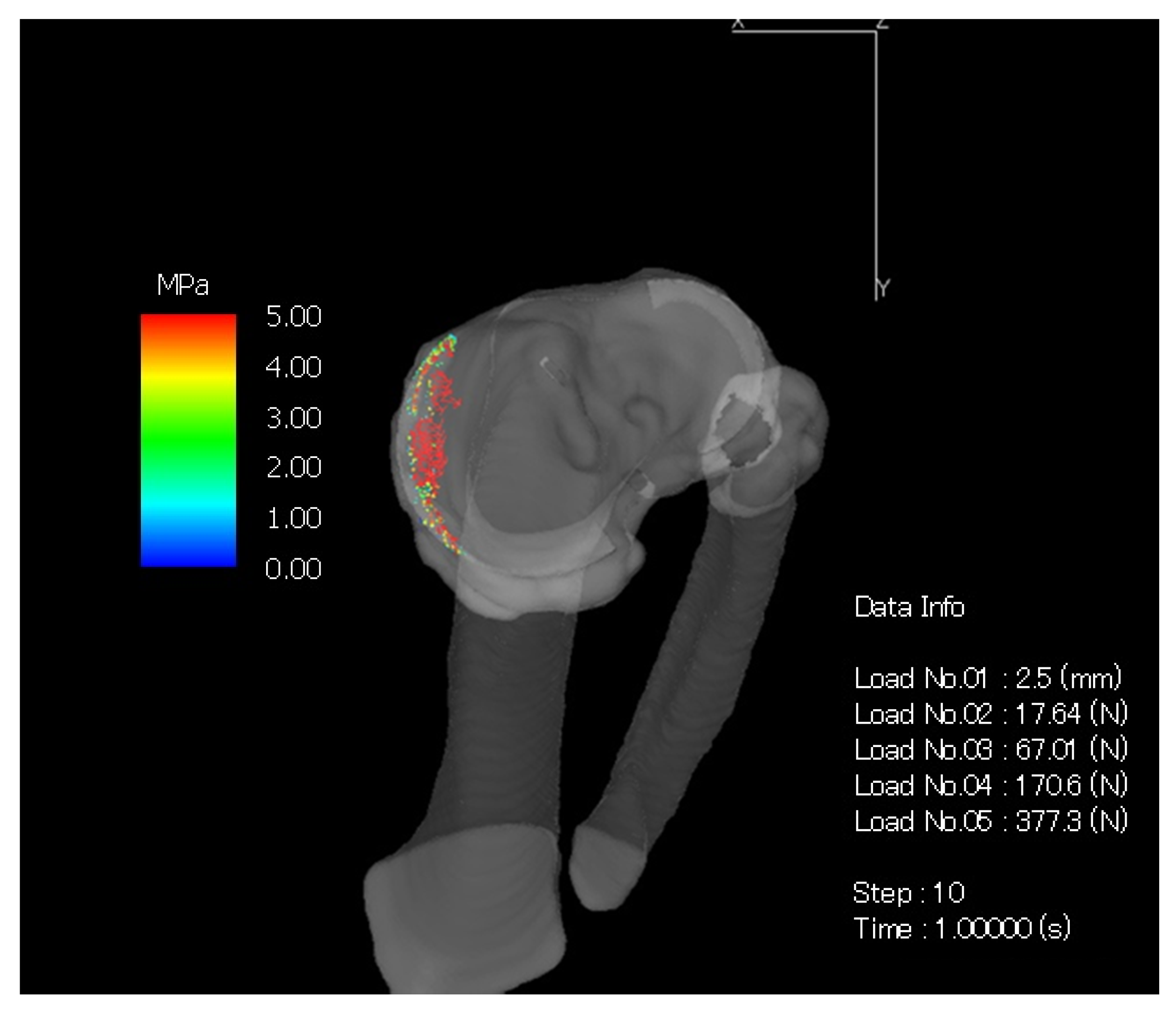 Medicina 57 00550 g003 Medicina 57 00550 g003