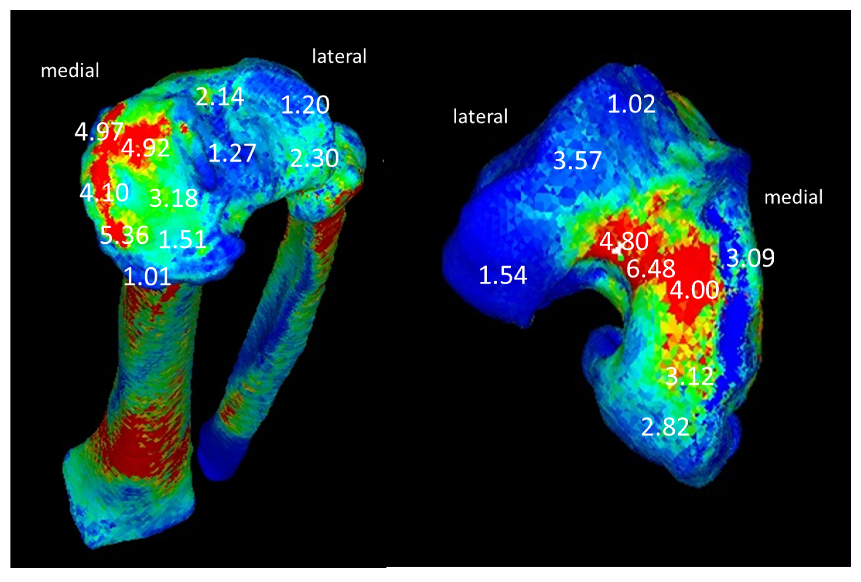 Medicina 57 00550 g004 Medicina 57 00550 g004