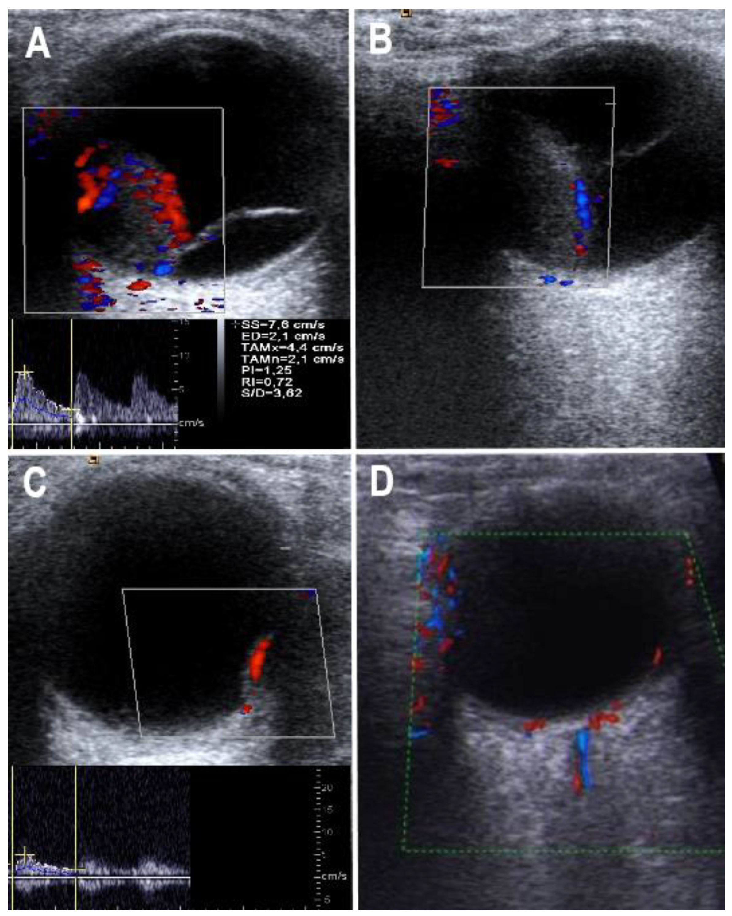 Medicina 57 00553 g001 Medicina 57 00553 g001