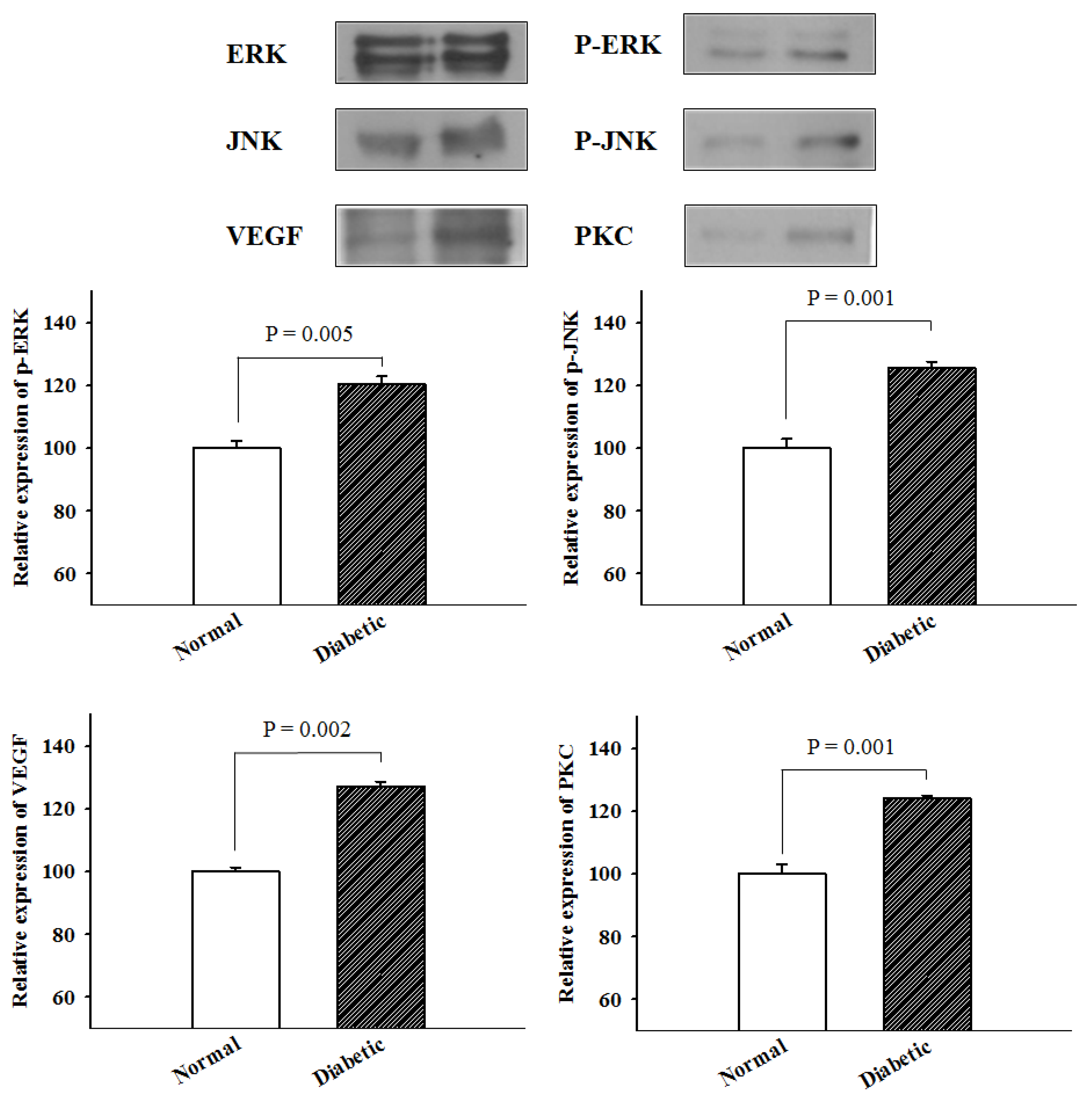 Medicina 57 00560 g002