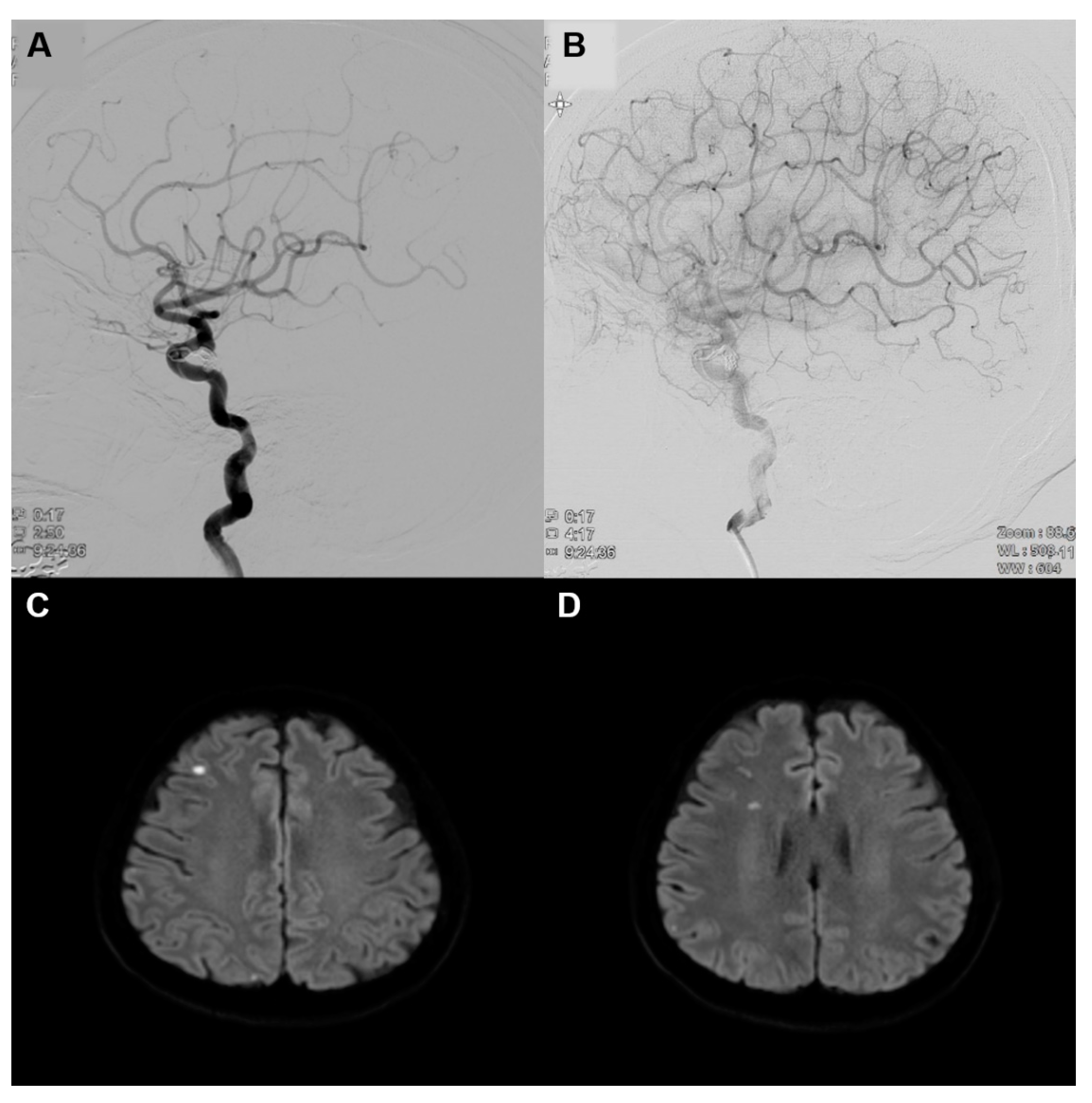 Medicina 57 00567 g001 Medicina 57 00567 g001