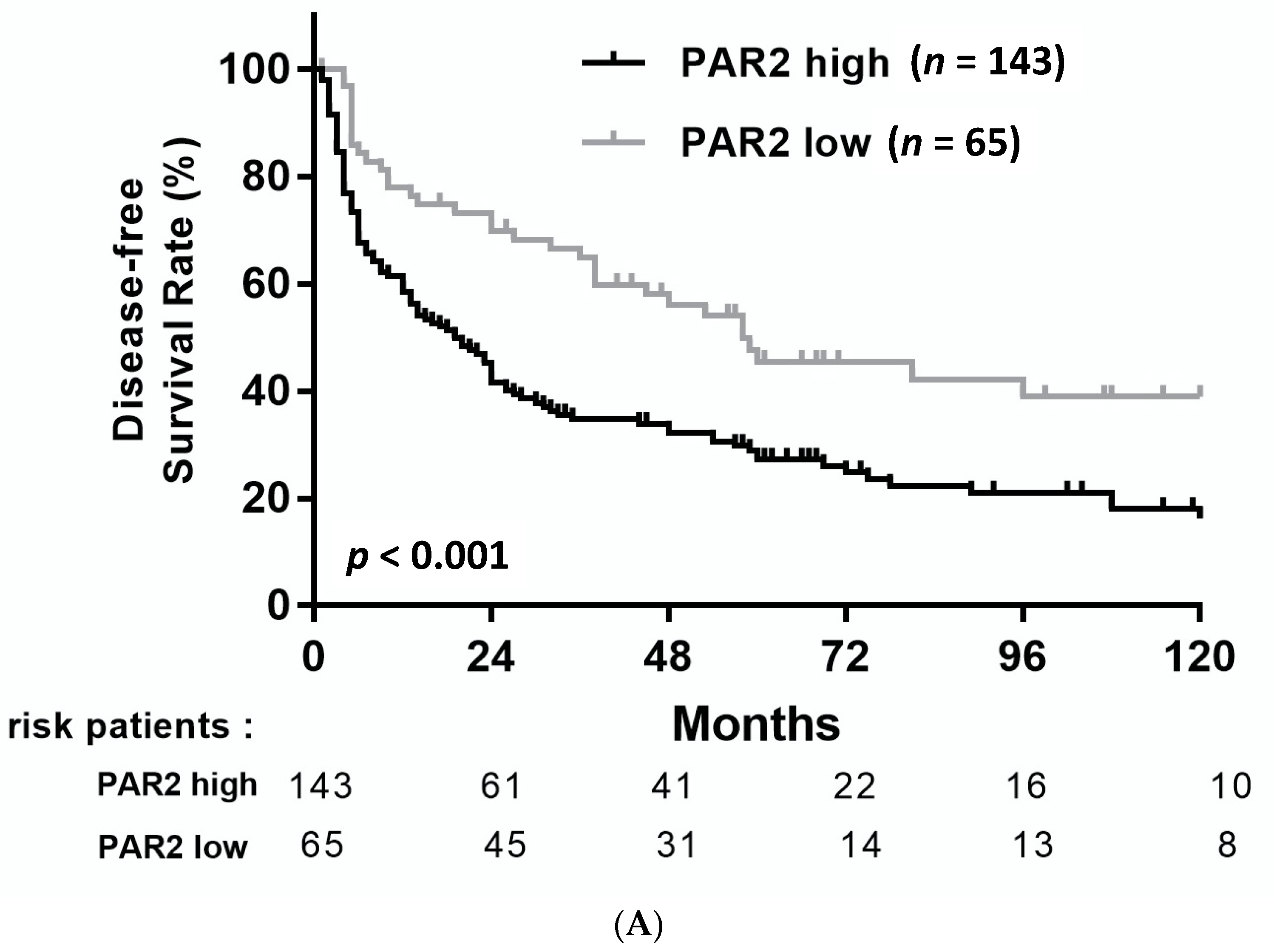 Medicina 57 00574 g002a Medicina 57 00574 g002a
