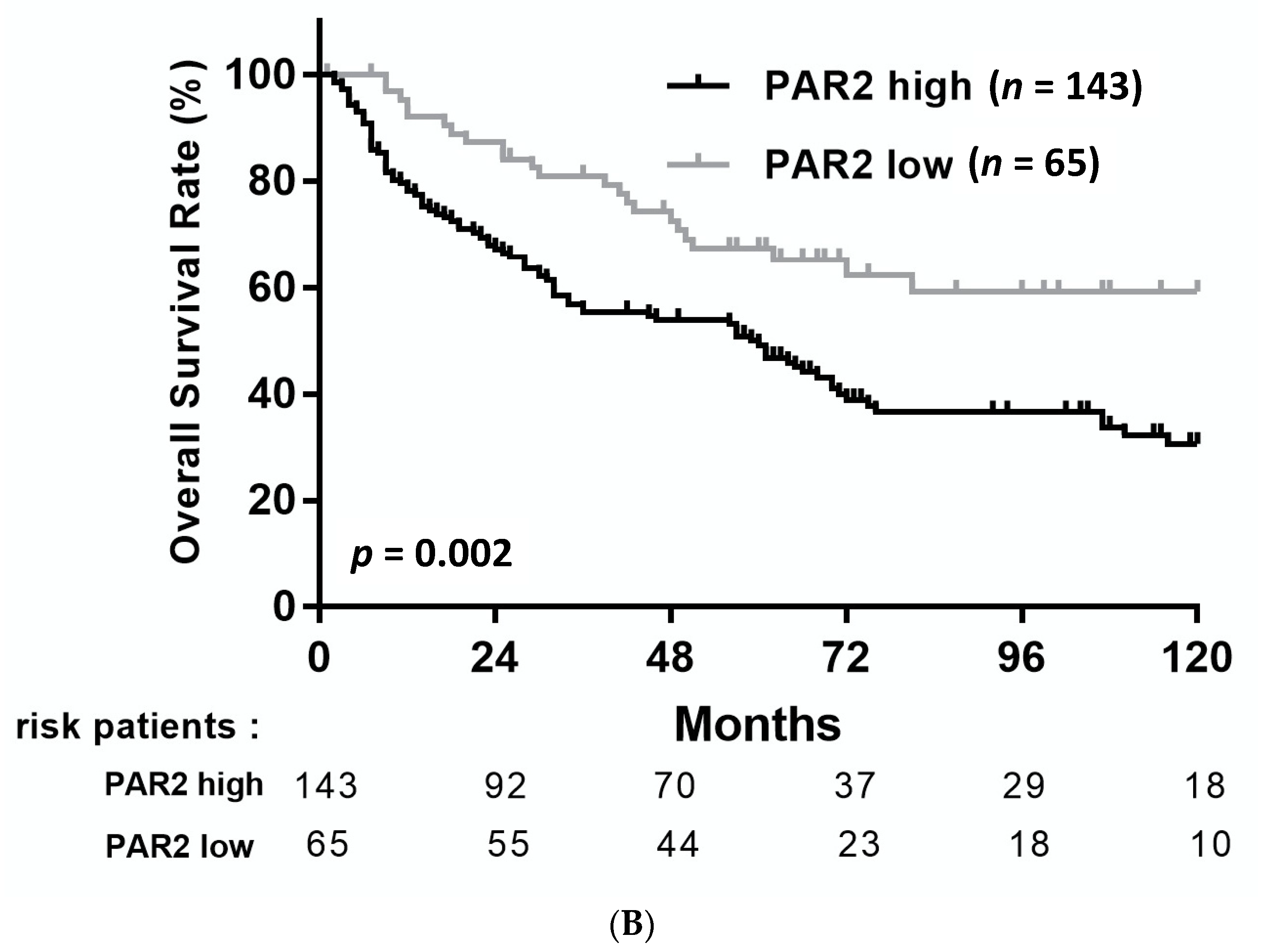 Medicina 57 00574 g002b Medicina 57 00574 g002b