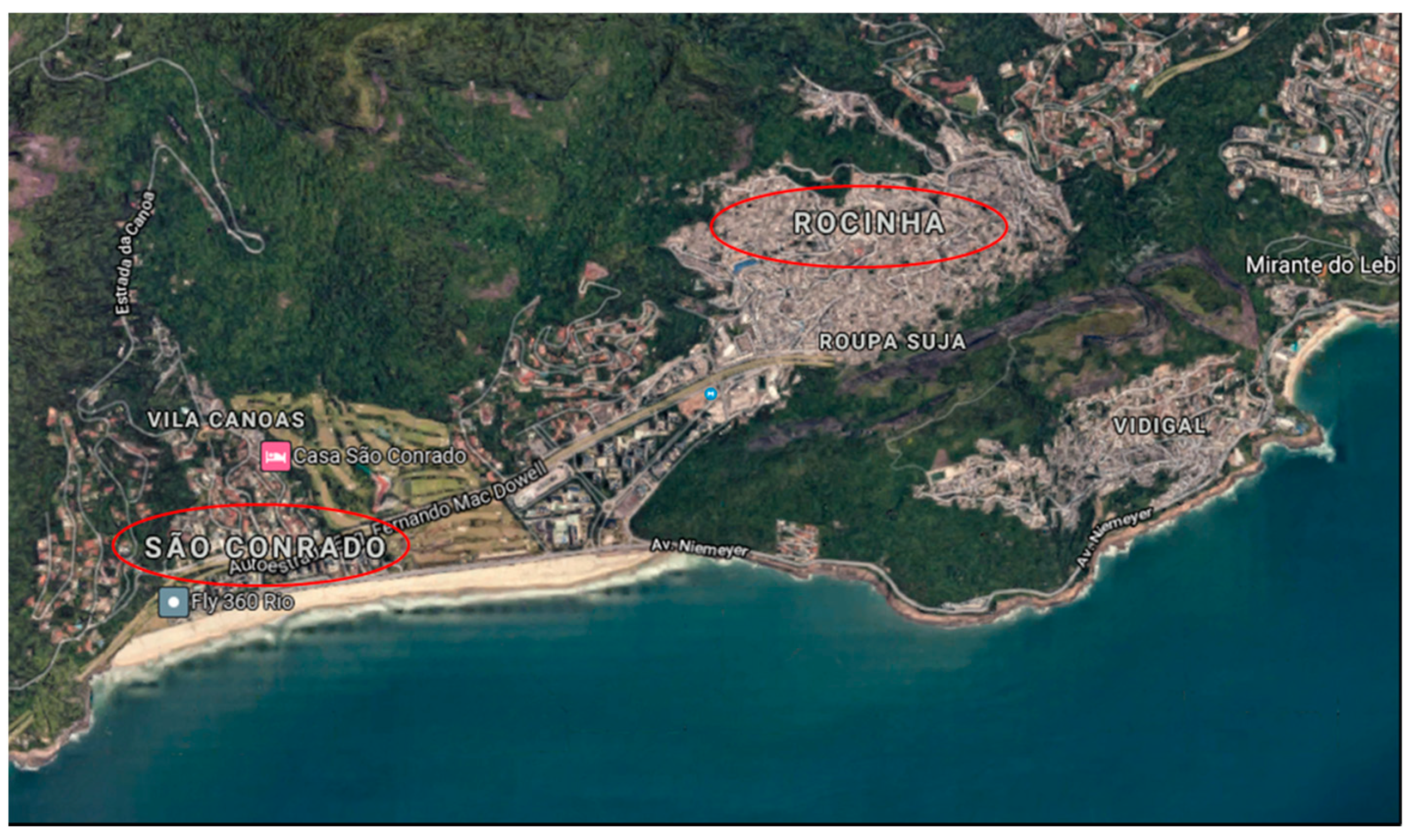 Medicina 57 00596 g002