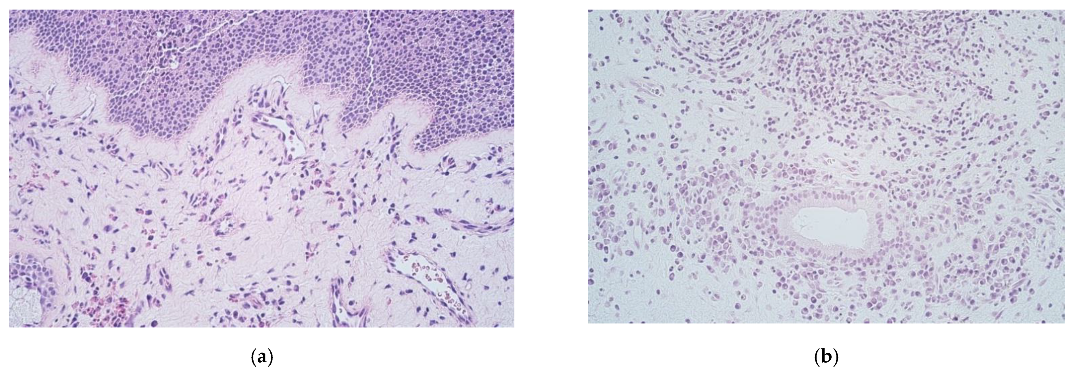 Medicina 57 00607 g001a Medicina 57 00607 g001a