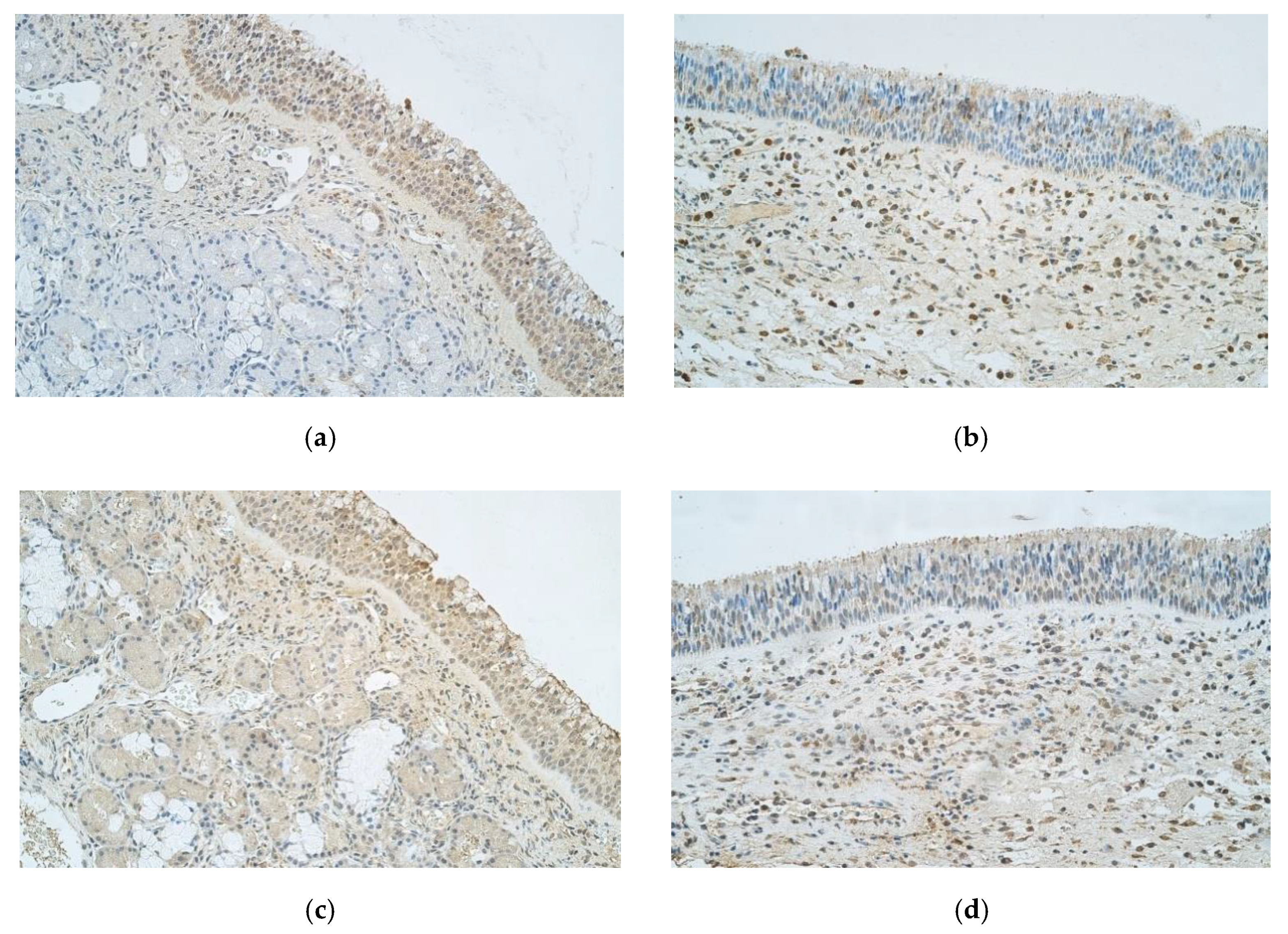 Medicina 57 00607 g002 Medicina 57 00607 g002