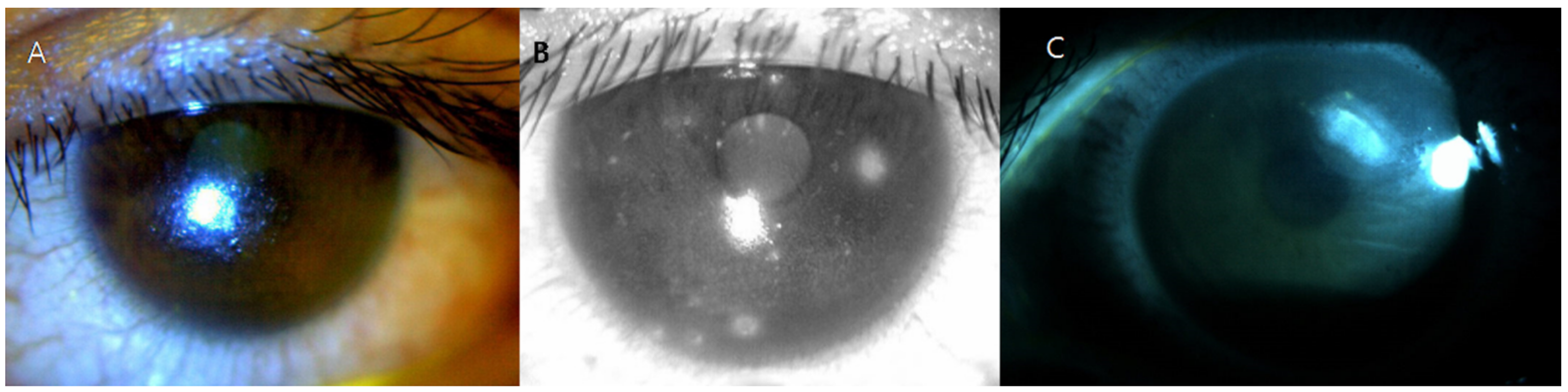 Medicina 57 00608 g002