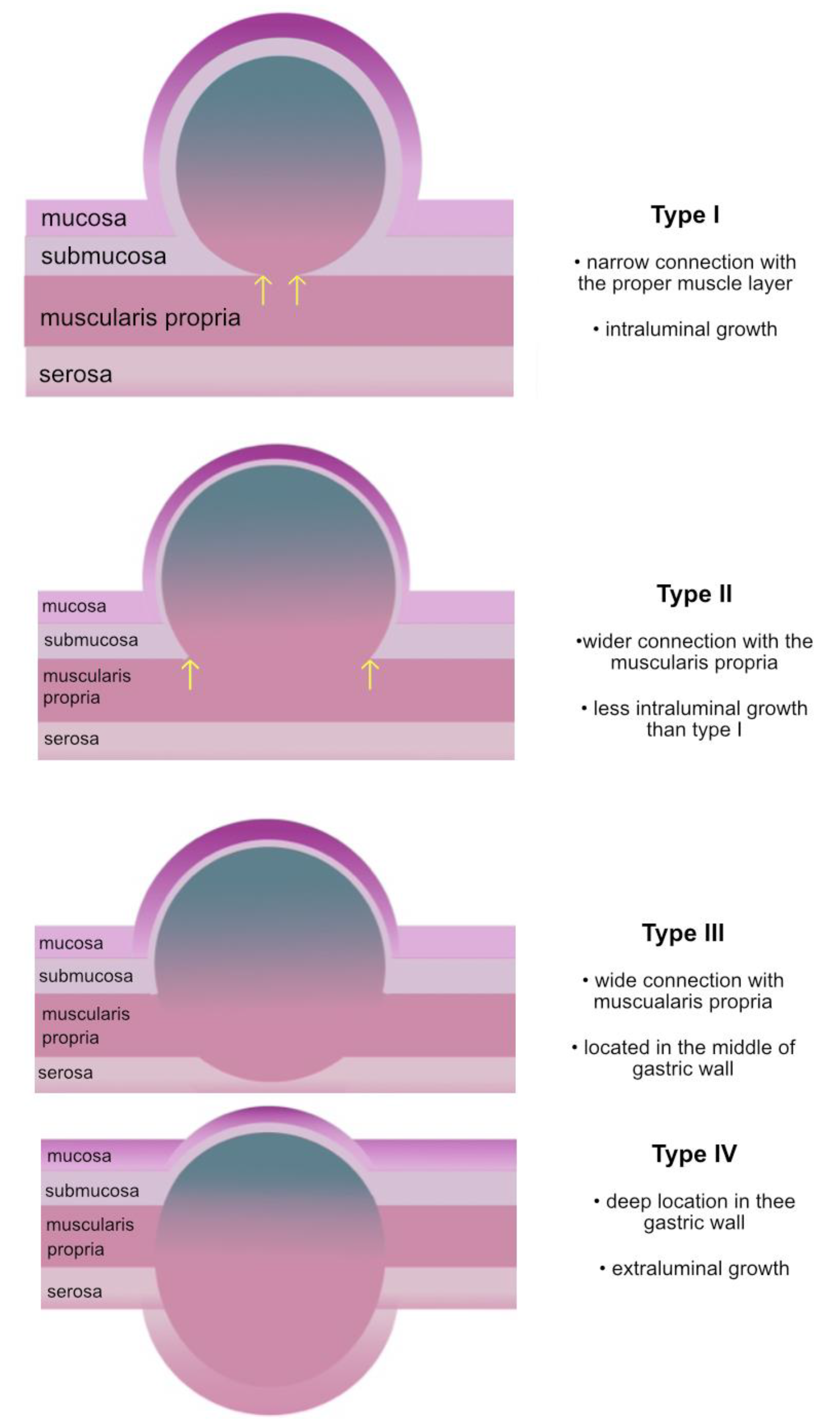 Medicina 57 00625 g001 Medicina 57 00625 g001