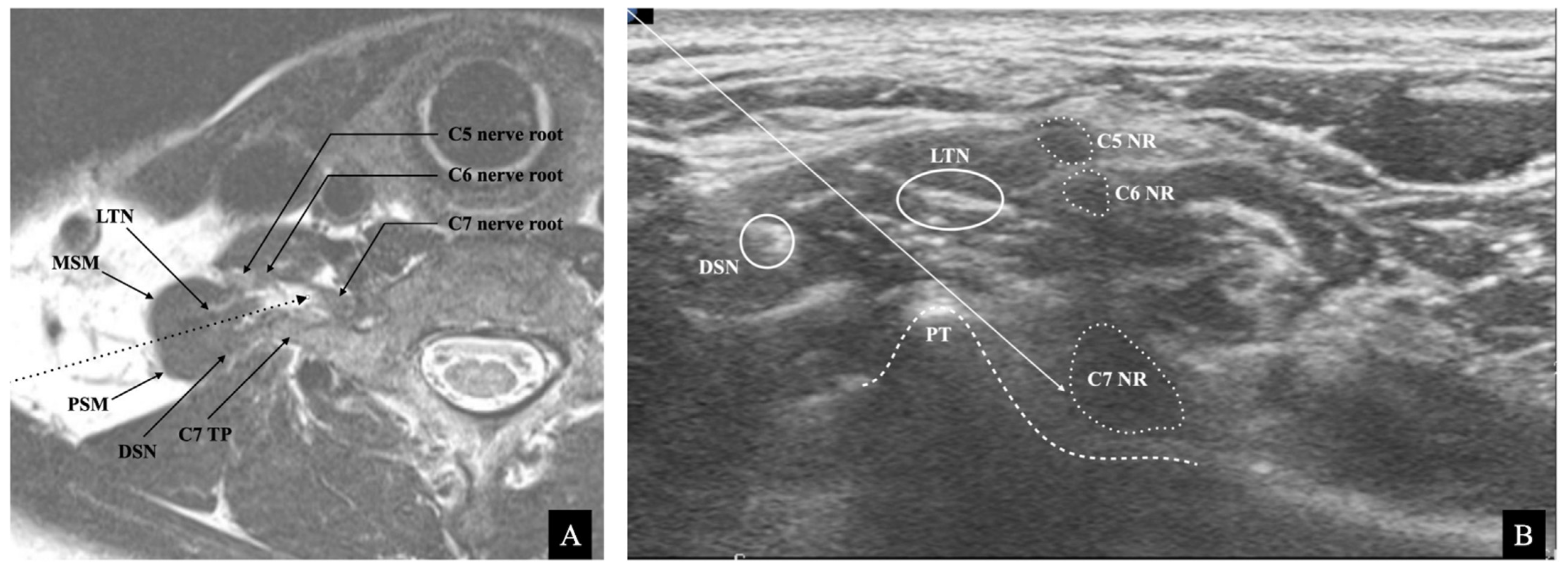 Medicina 57 00635 g001 Medicina 57 00635 g001
