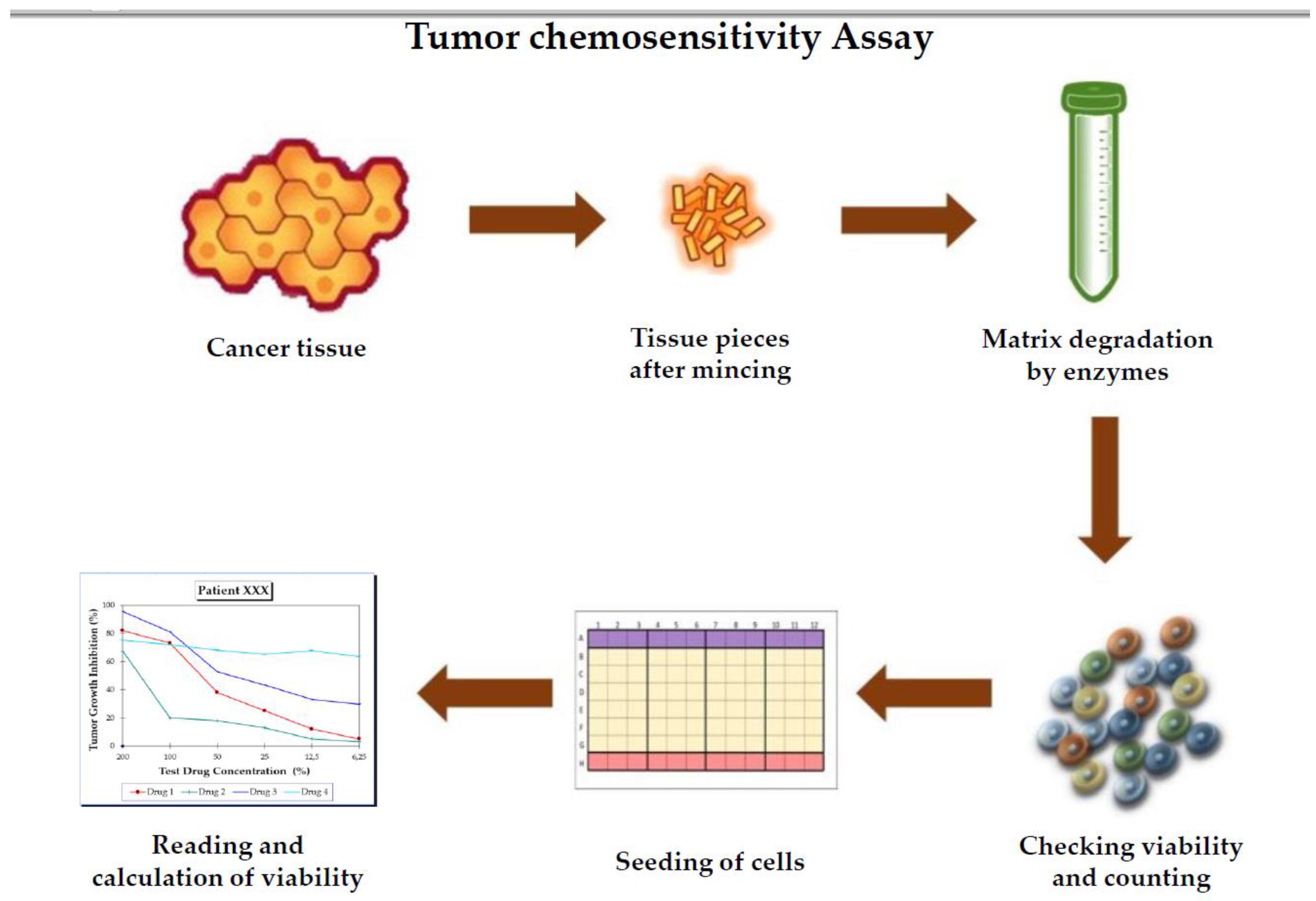 Medicina 57 00636 g002