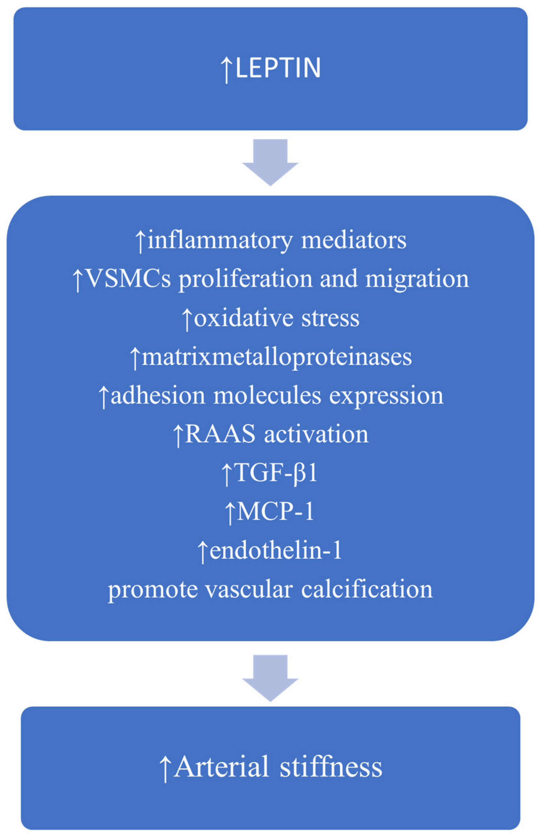 Medicina 57 00653 g003 Medicina 57 00653 g003