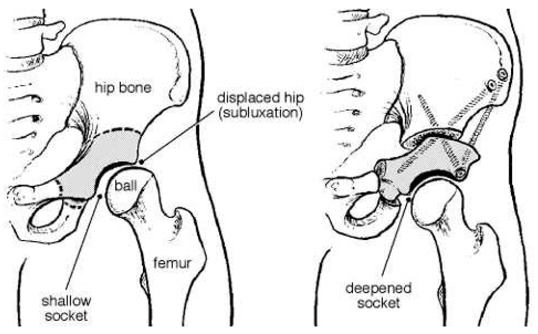 Medicina 57 00655 g002