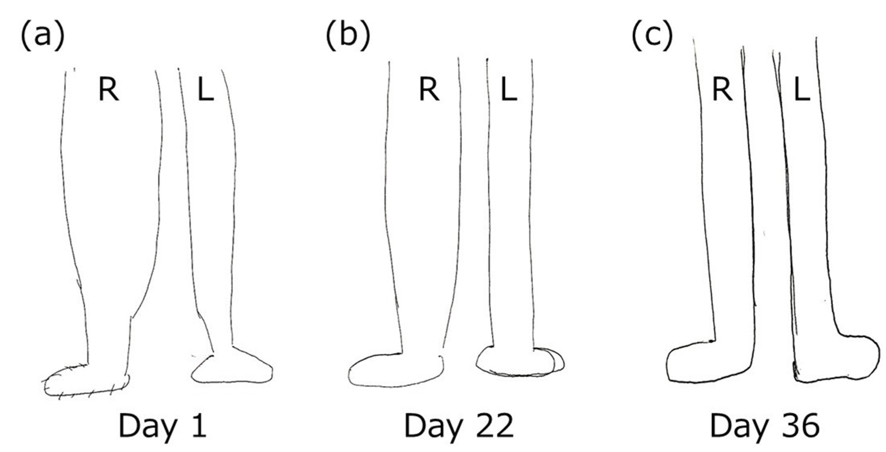 Medicina 57 00658 g003
