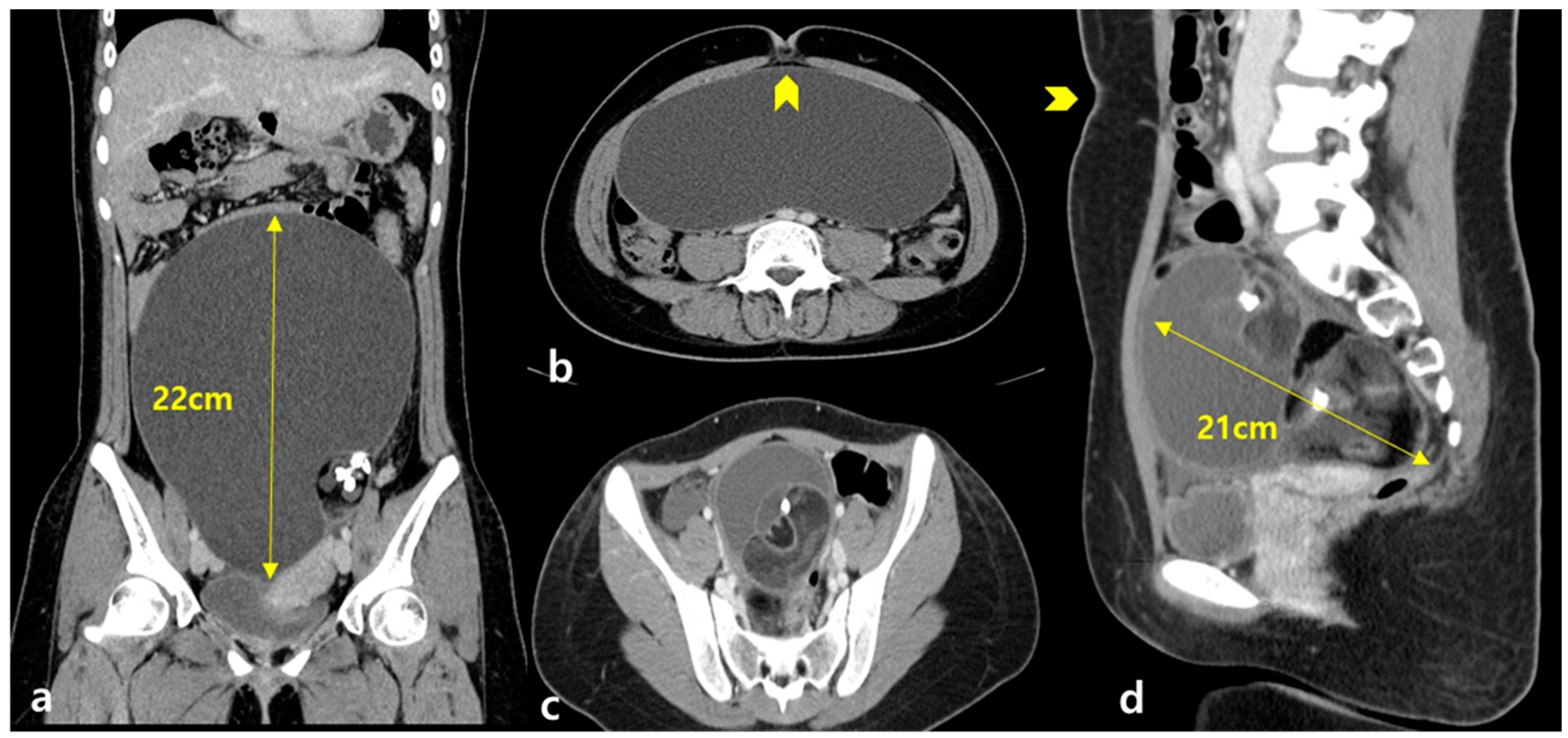Medicina 57 00680 g003 550