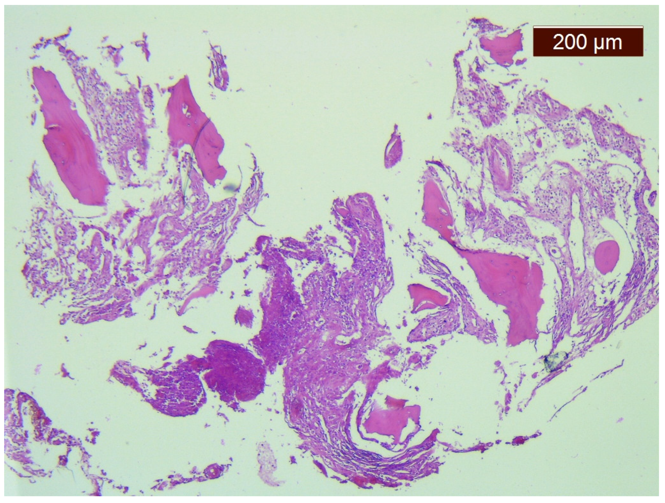 Medicina 57 00681 g002 550